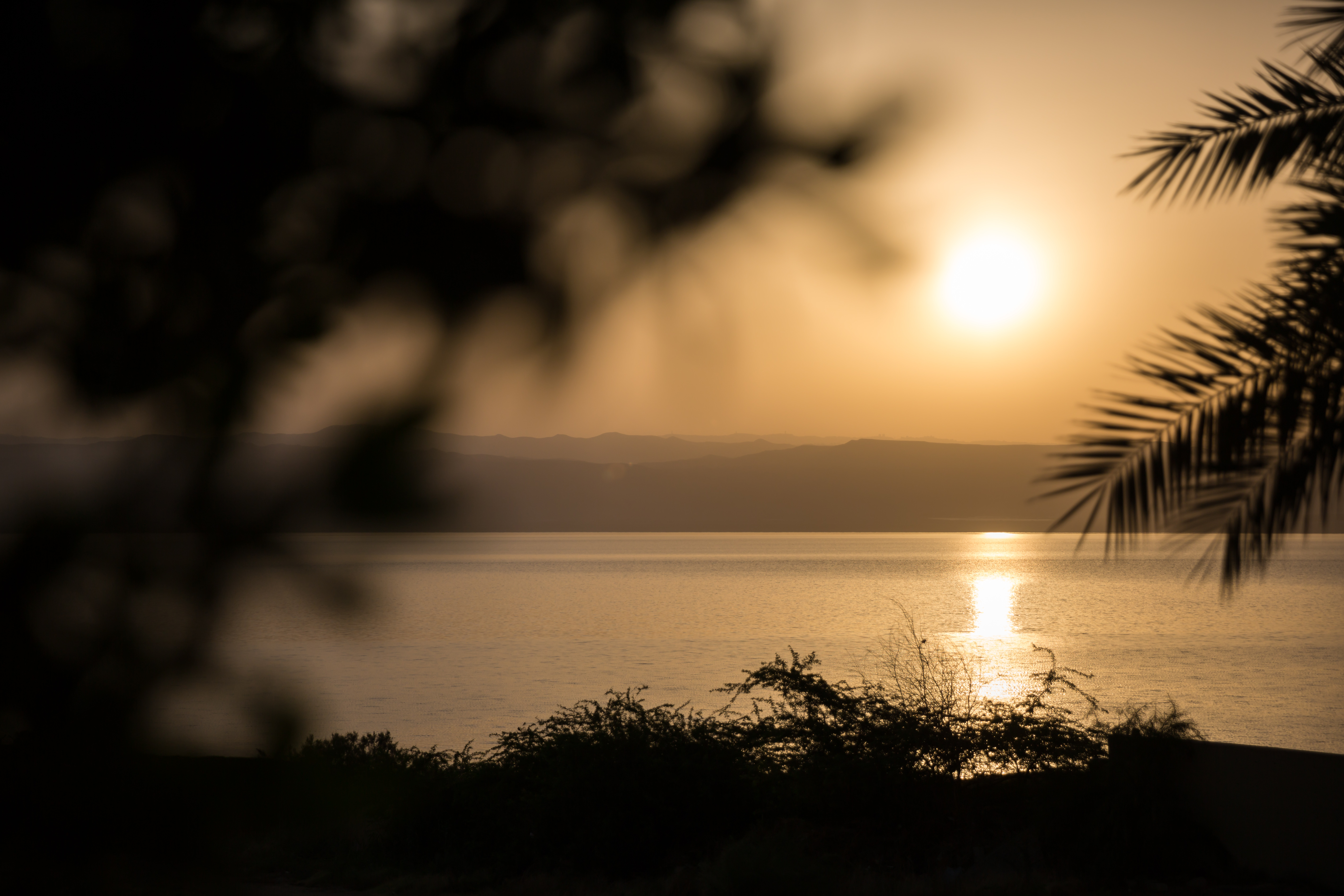 image_4SZDCEMJCRXSJUEL