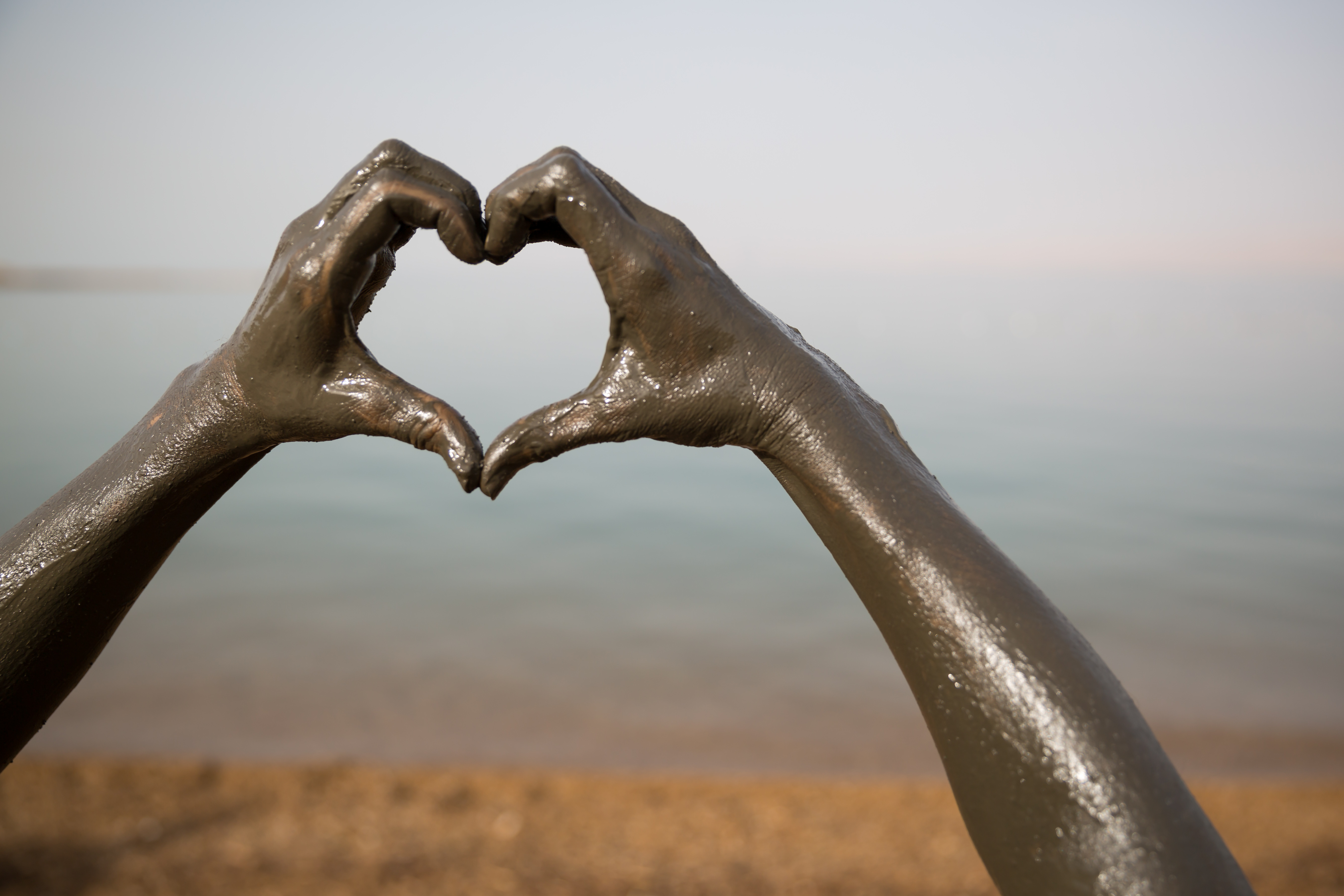 image_A2FVGPVQ2TSVWDH8