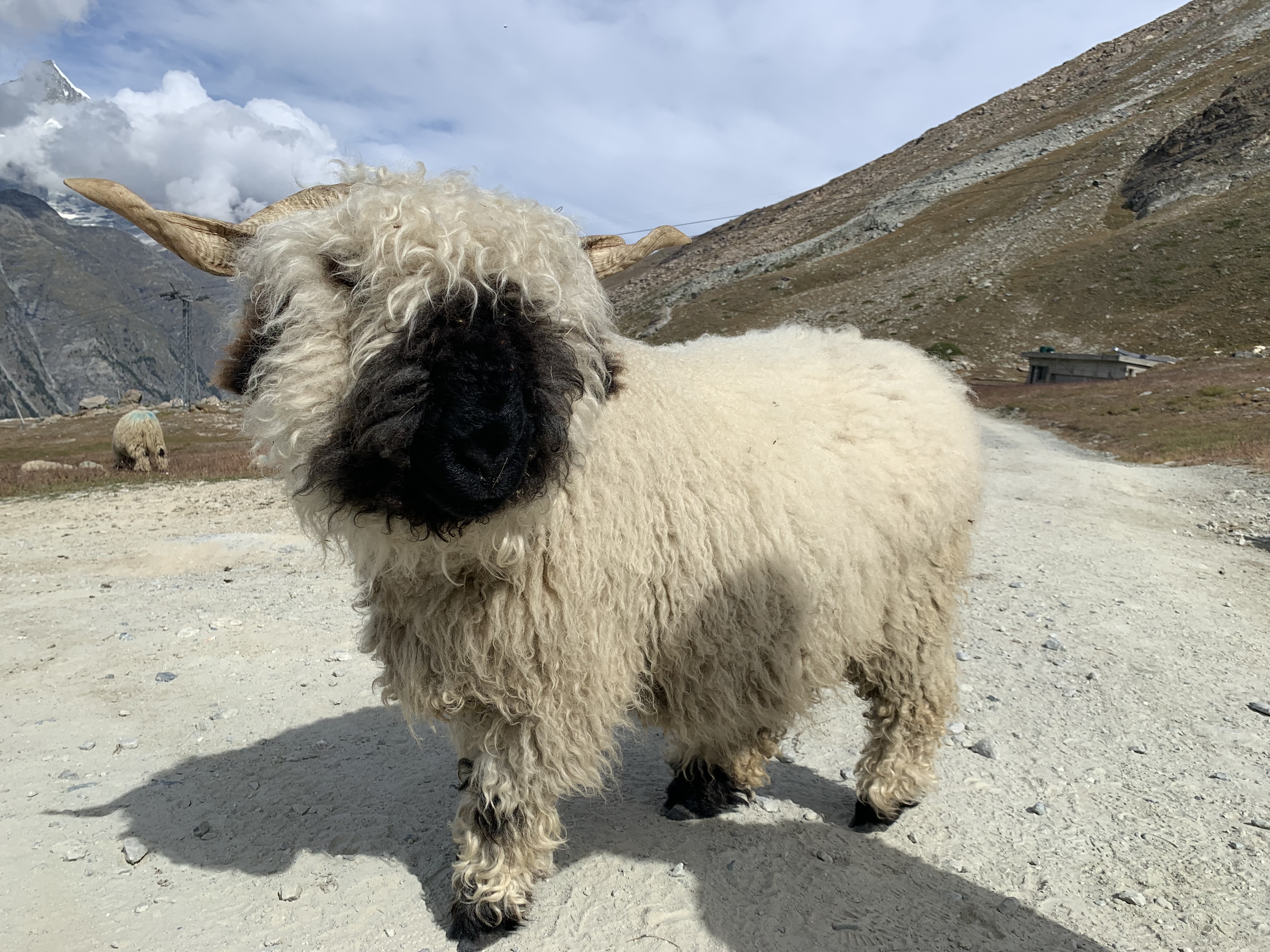 image_4X87EDWUL3XHVUHX