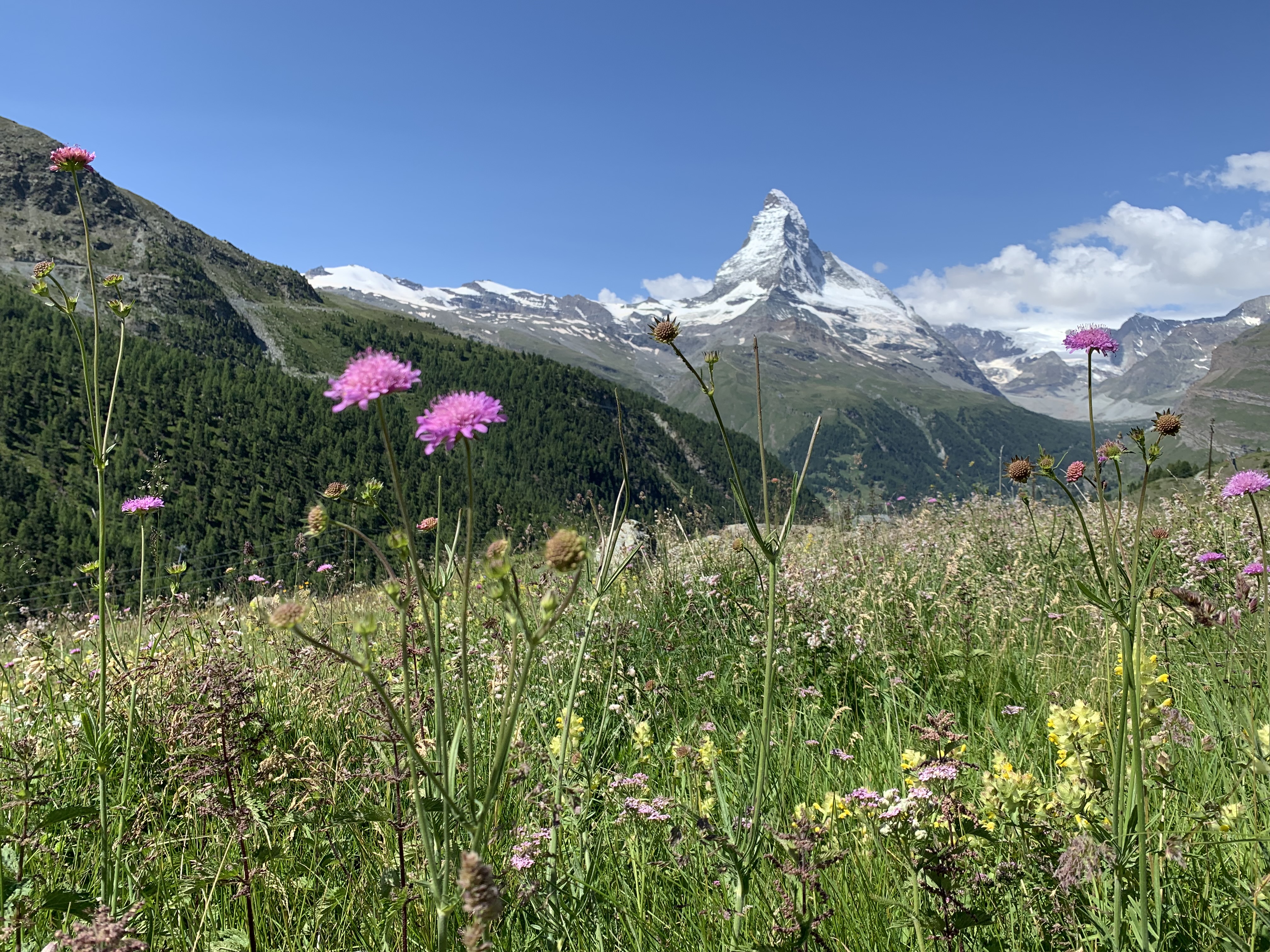 image_YSCPMZA6BRGXQRM9