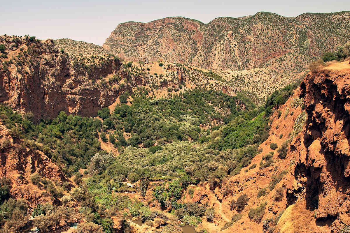 image_NE87ZHVXSVW7MKTJ