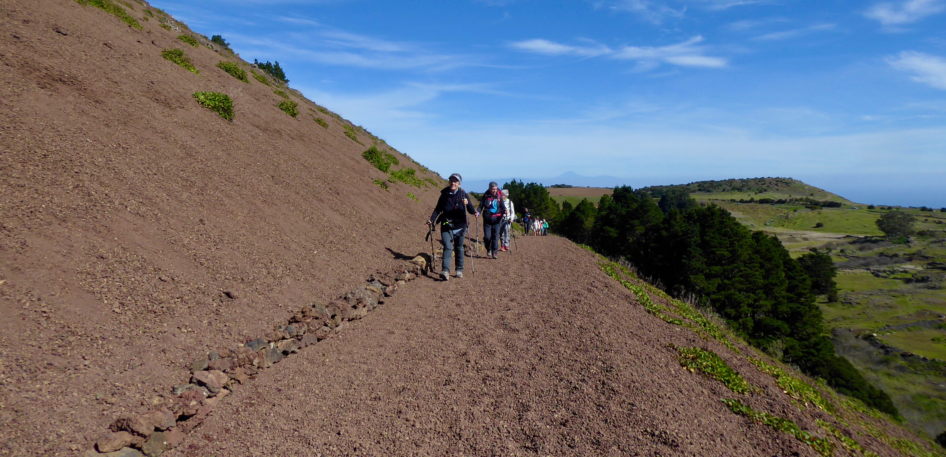 f47dbd9d-f25d-4ec3-bf1b-78970183a288