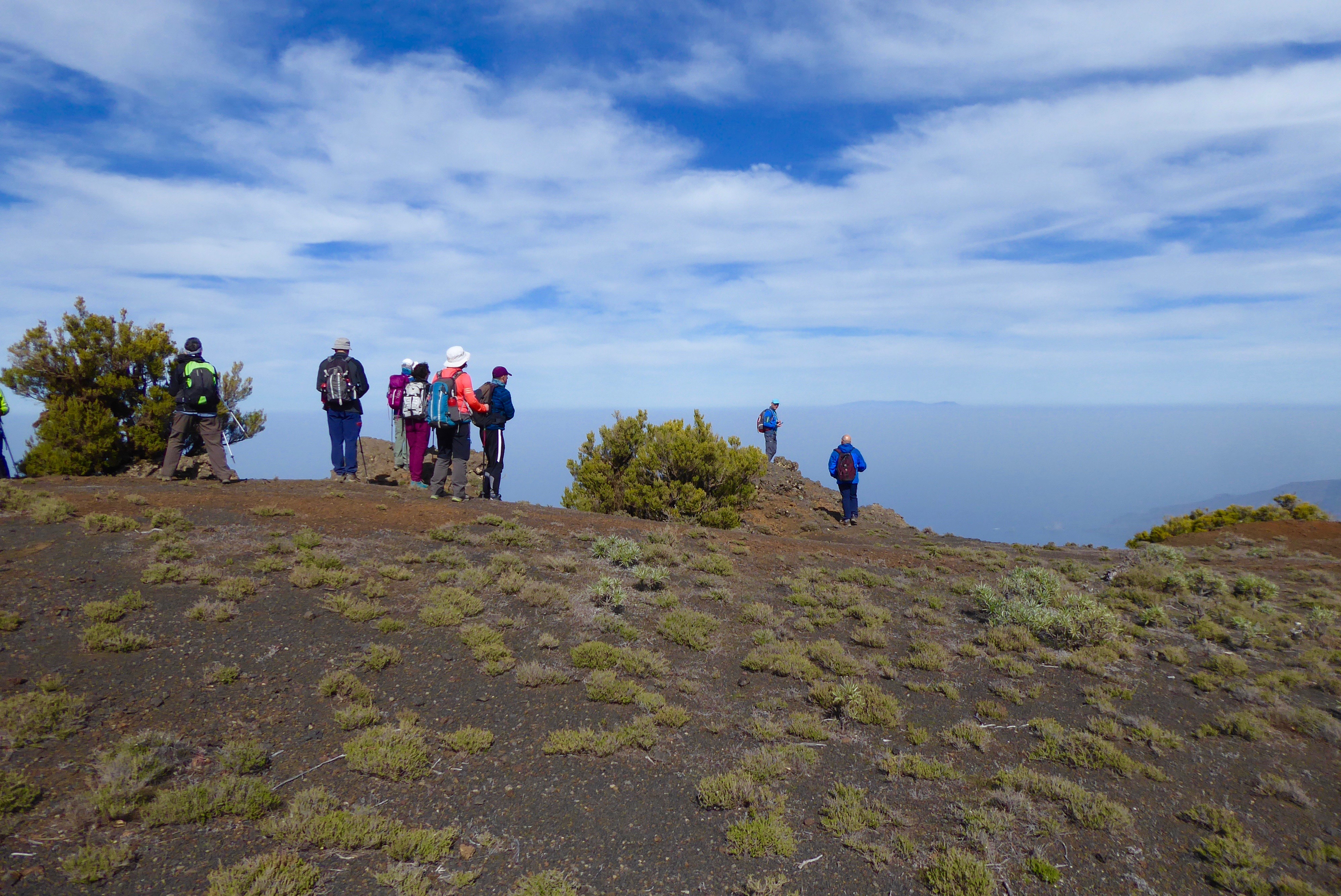 5a2622ff-36e4-4056-81f7-e9a6b099b758