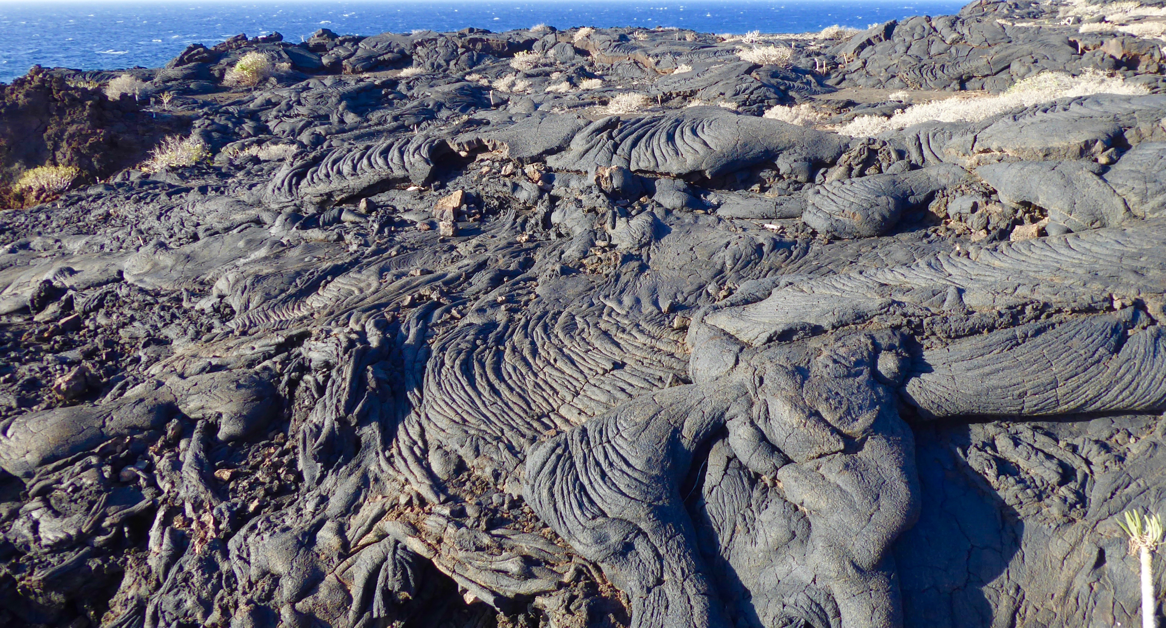 2398aa9f-97c5-403e-970c-fbb0f3fa3511