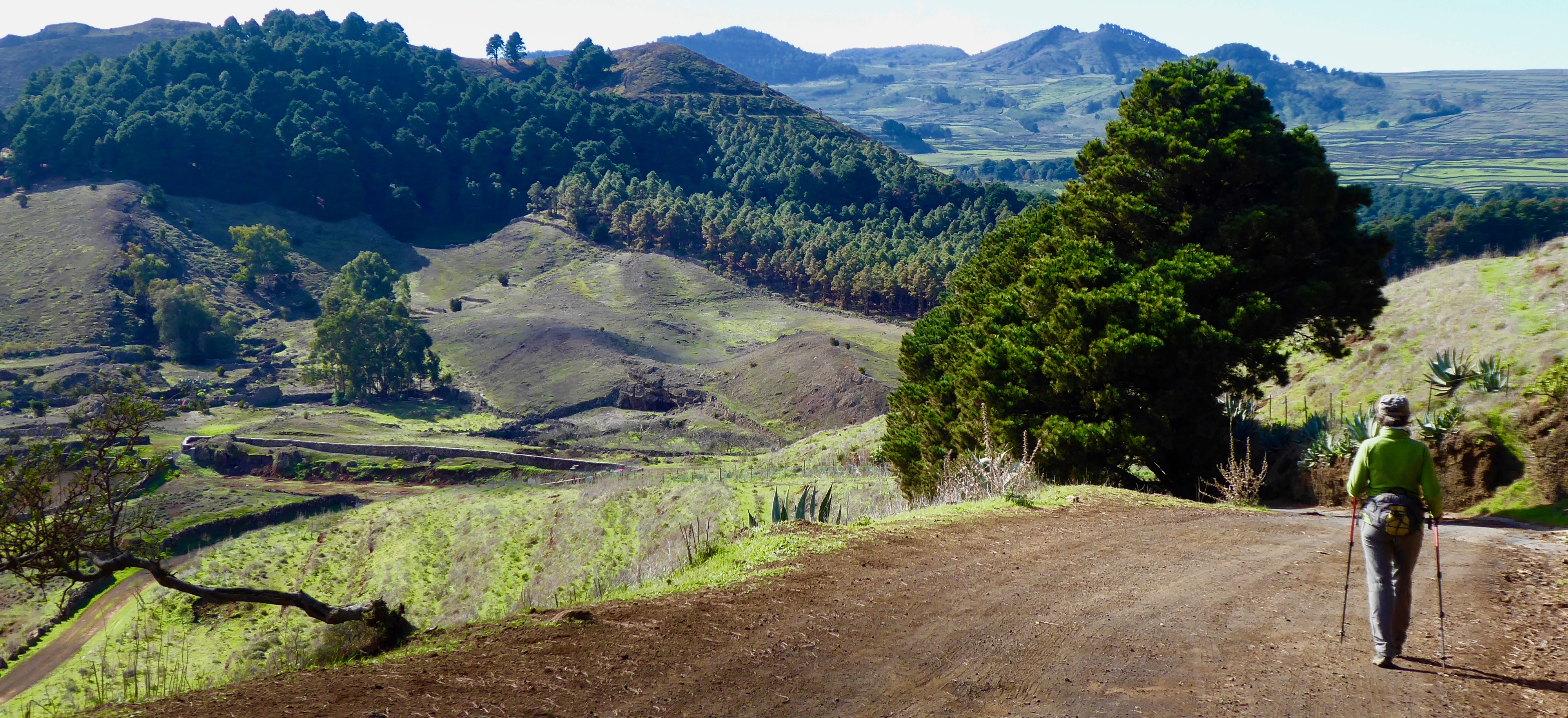 eba1b01f-2a3c-419b-a67b-e91bb8416306