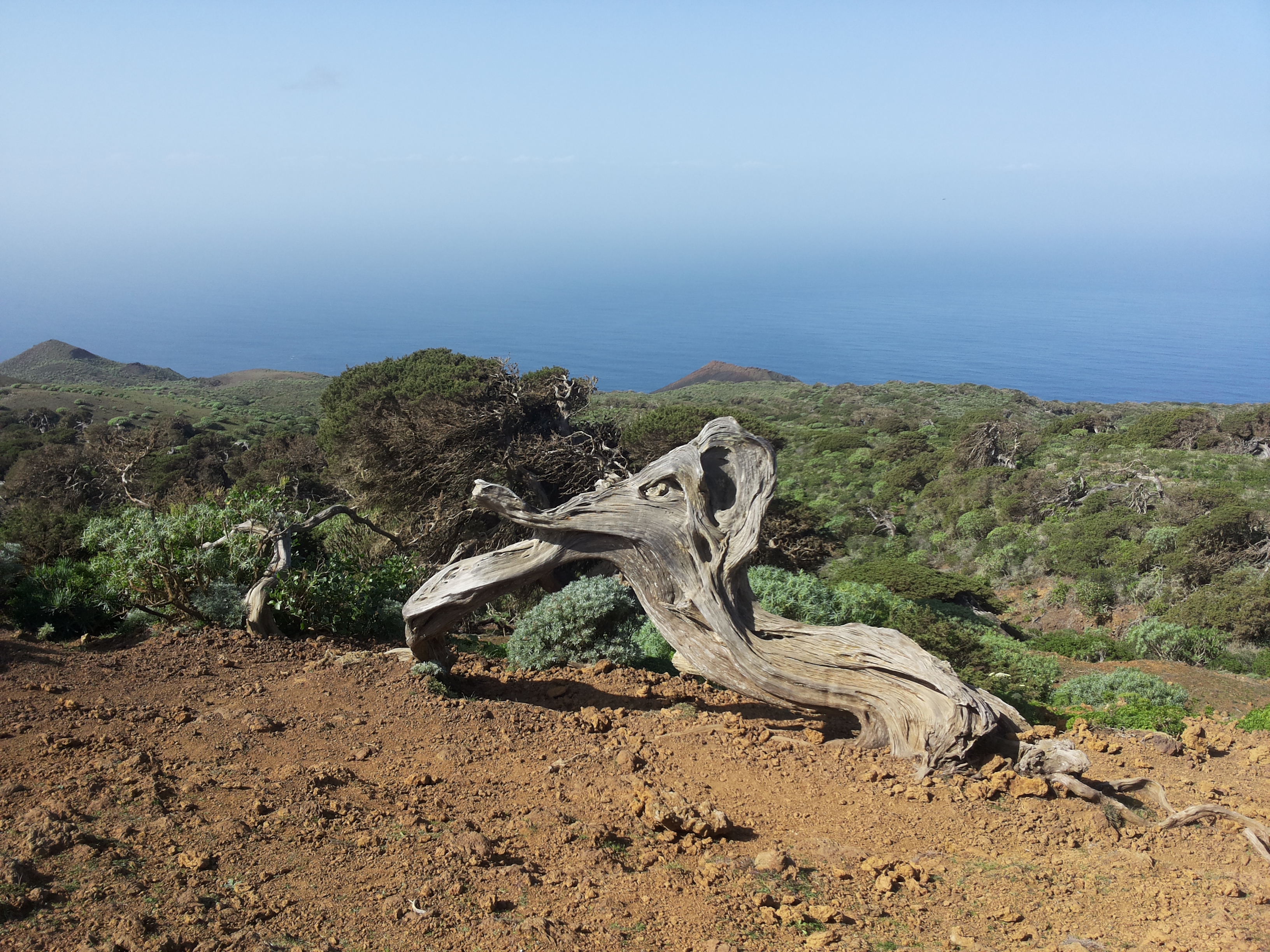 83cb9387-d9b4-41de-916e-5171367fa68c