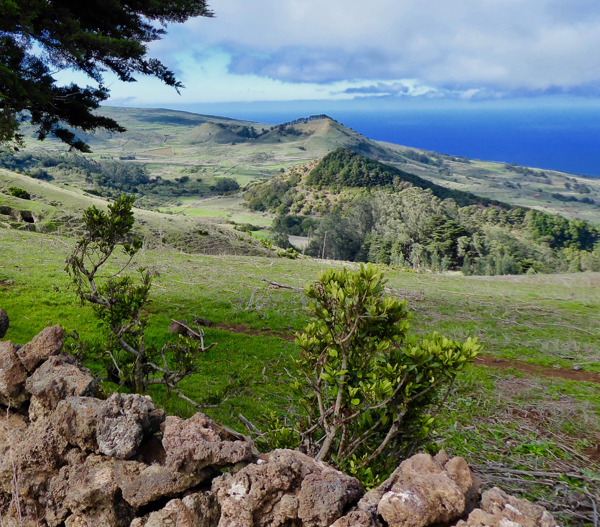 6727fc49-62b1-4ace-9ada-a58d6b609bde