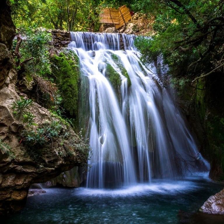 image_SUVH4K4GKPD4FASX