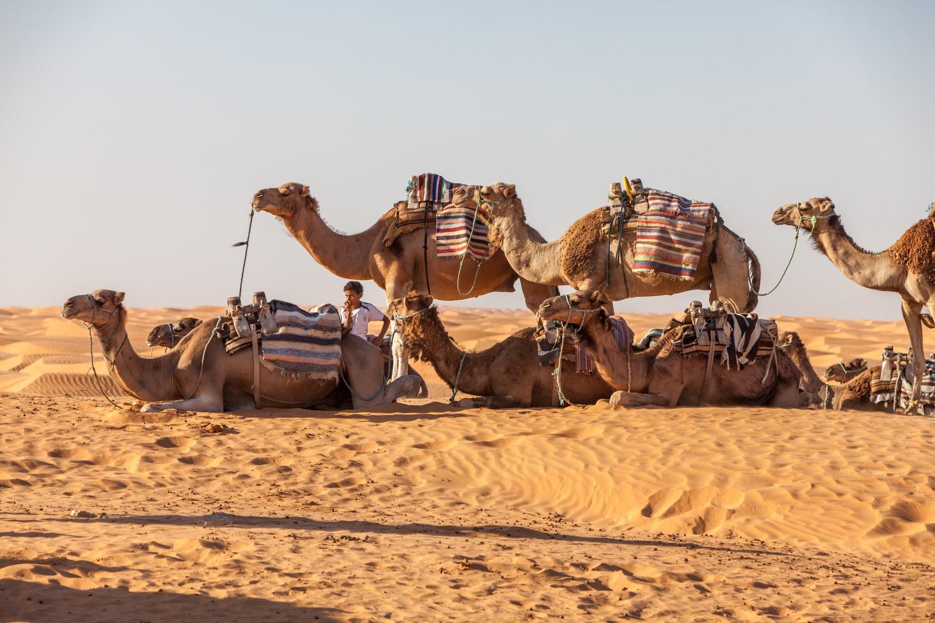 image_9VUB2ALWSWS99RQP