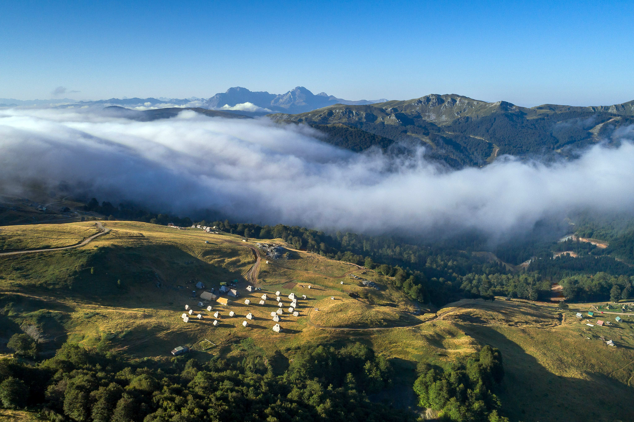 image_DSPQRA266BQLJNTQ