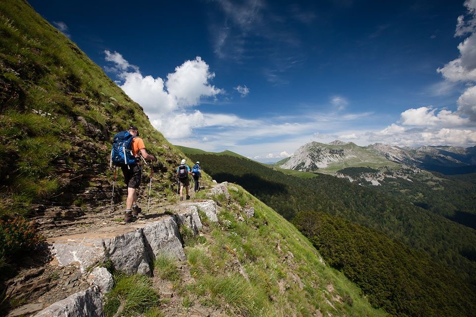 image_YPVLE9ACP2MJTPQ8