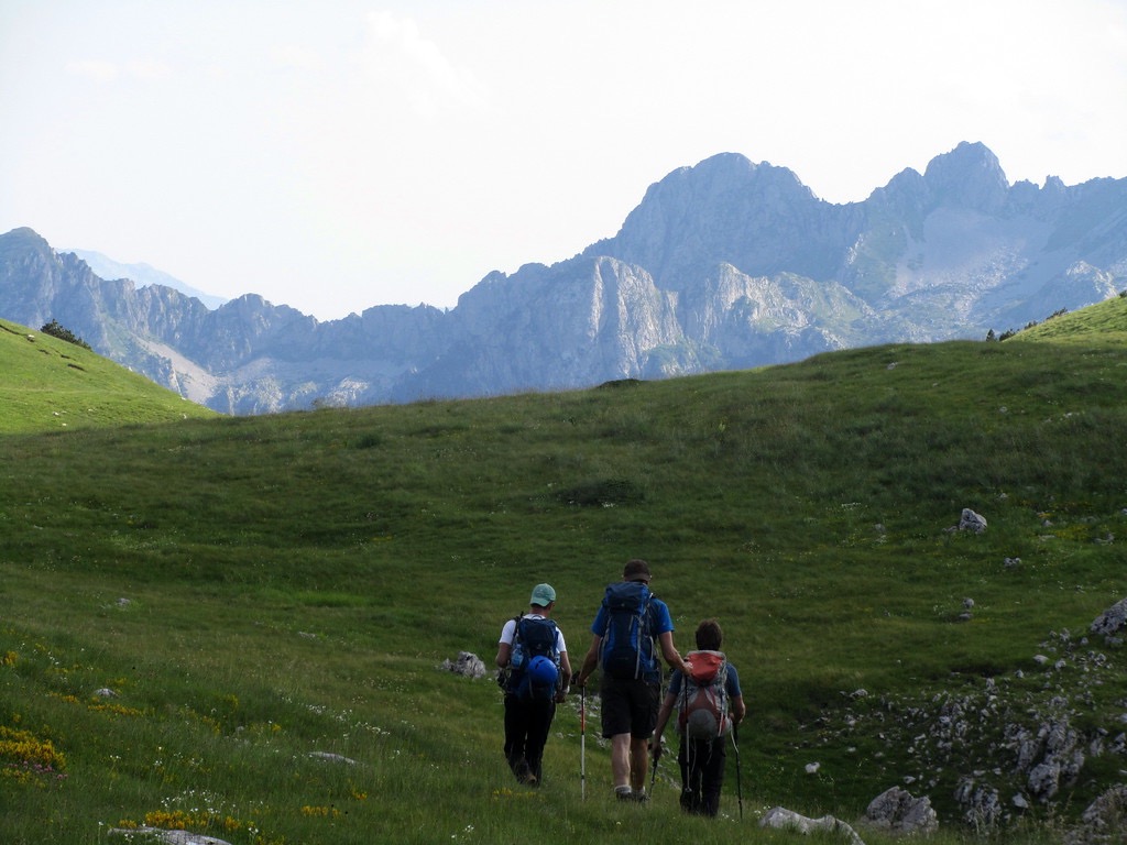 image_VNNBBY8E938L2VUT