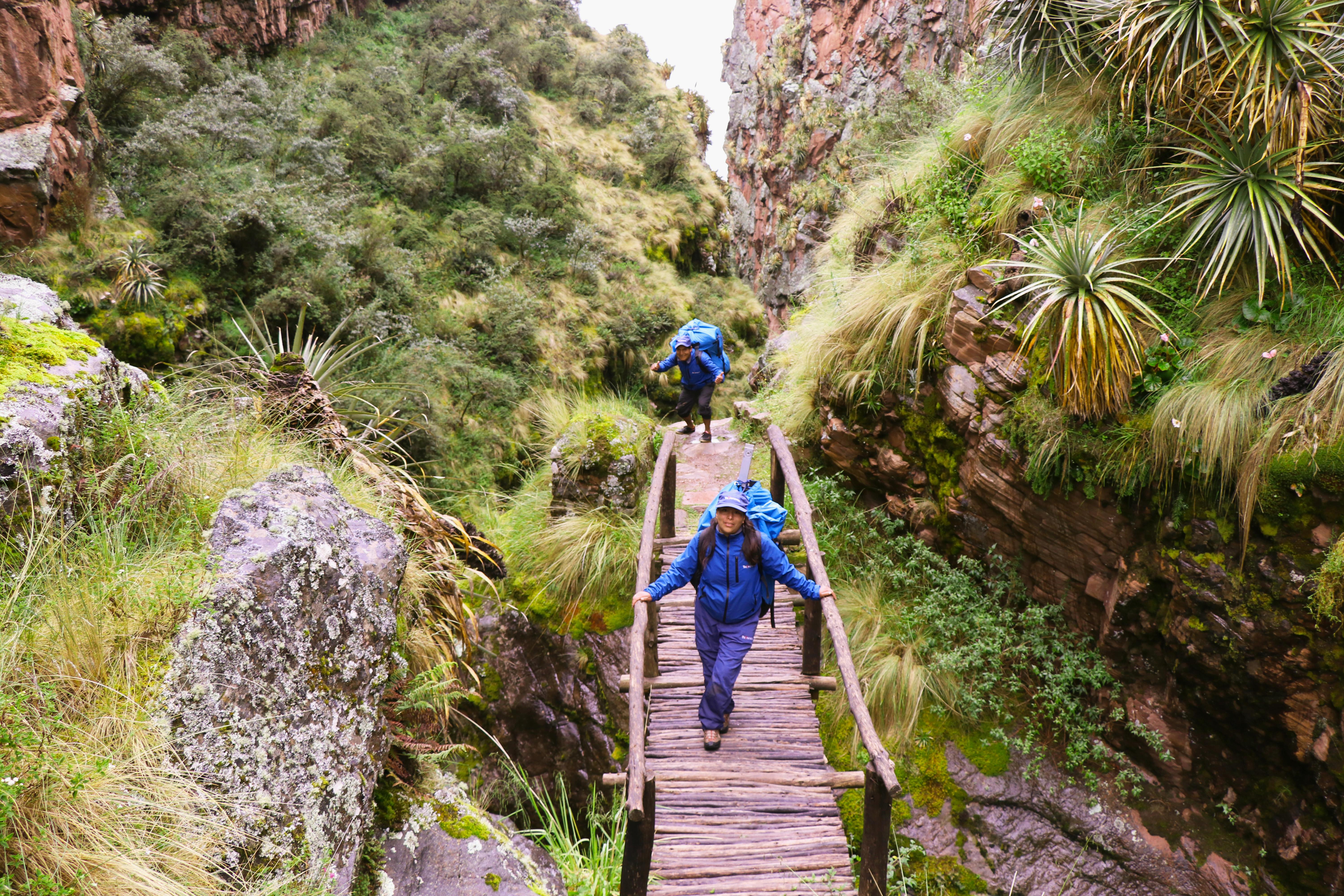 image_WQKNUWZP7GAH8GD7