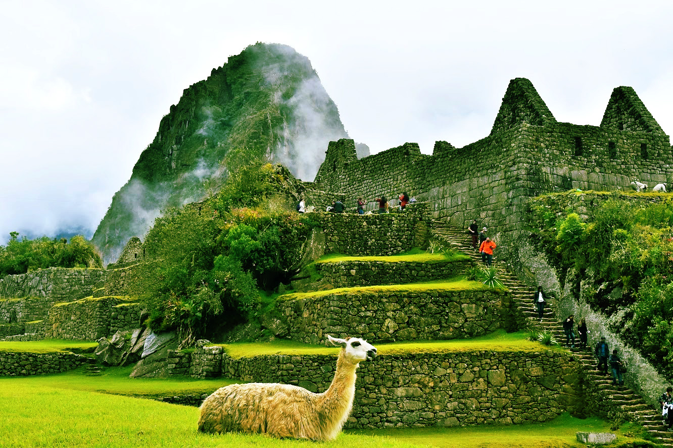 image_AEL8FXC4HFU6L5YY