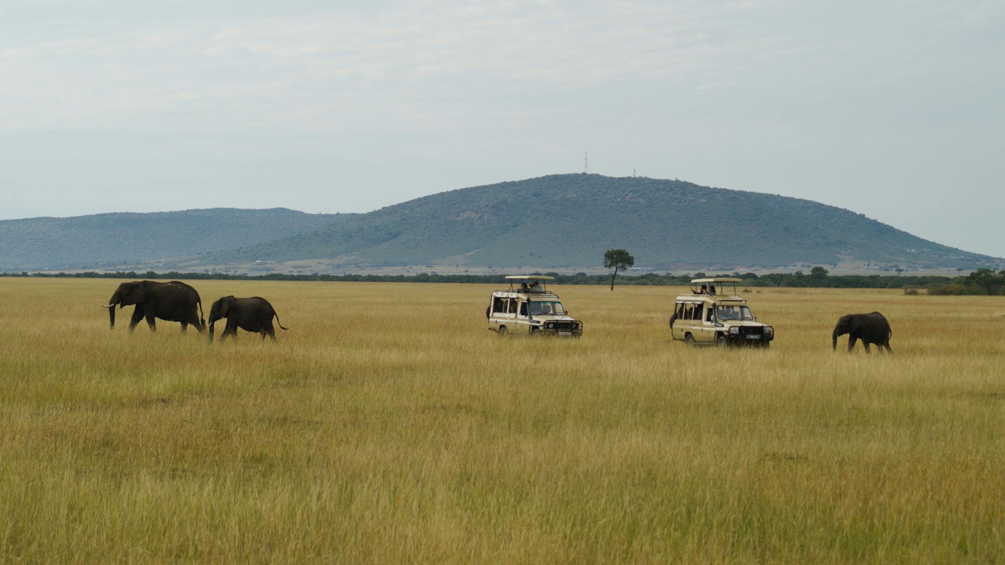 Tarangire & Ngorongoro Crater Safari