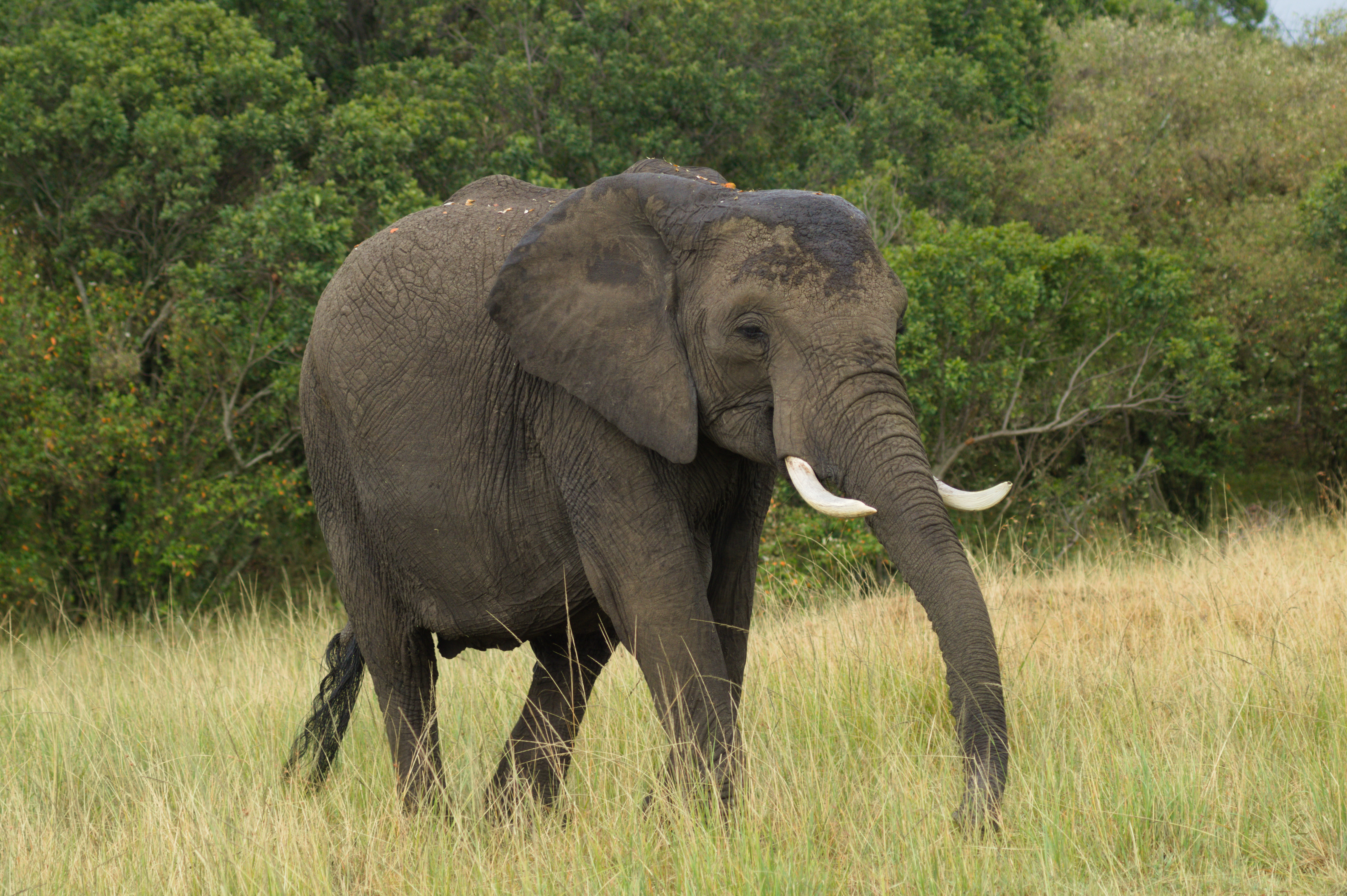 464cba2e-0476-43a6-a1aa-d34880f05417