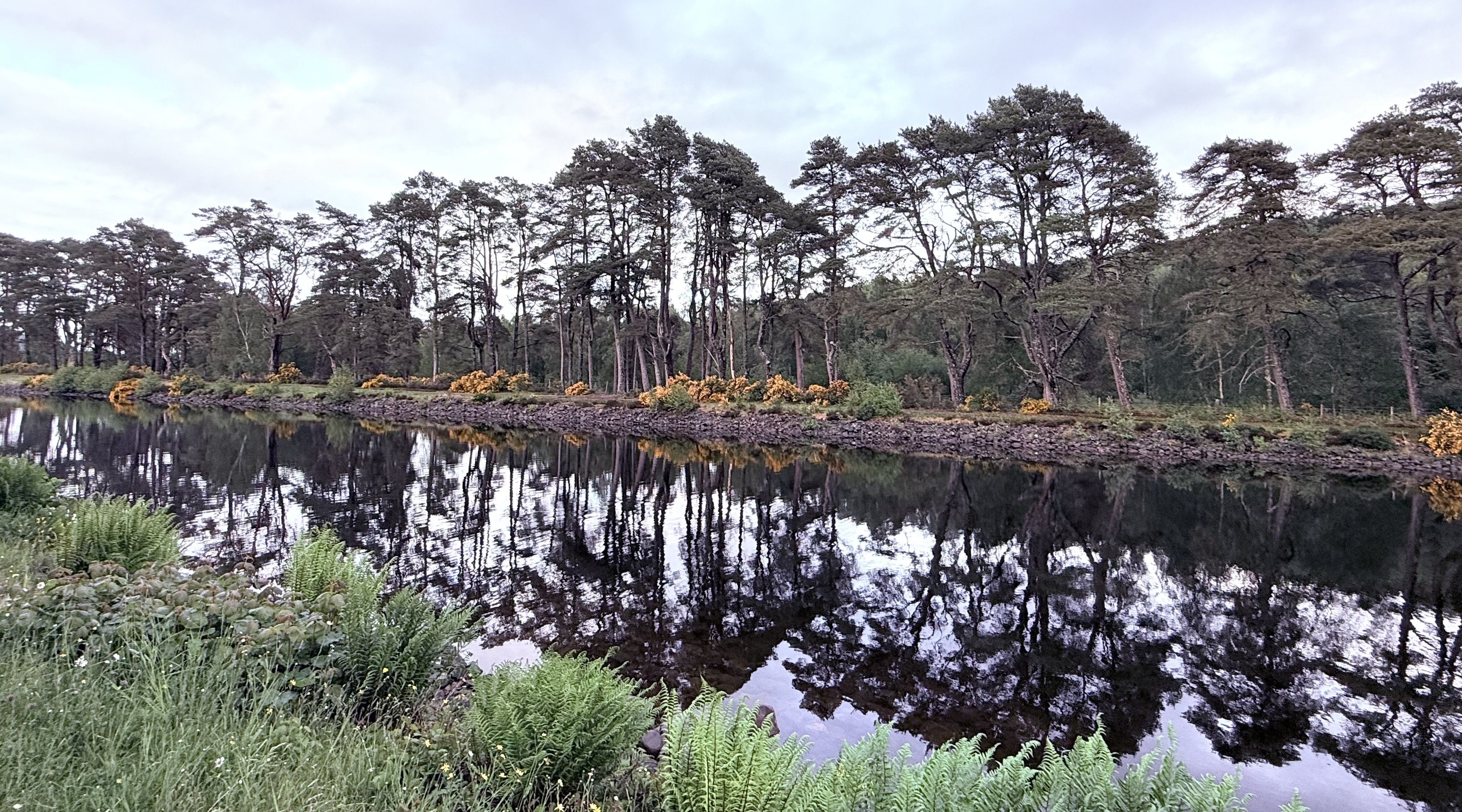 media_FDSSUX2F2X89788W