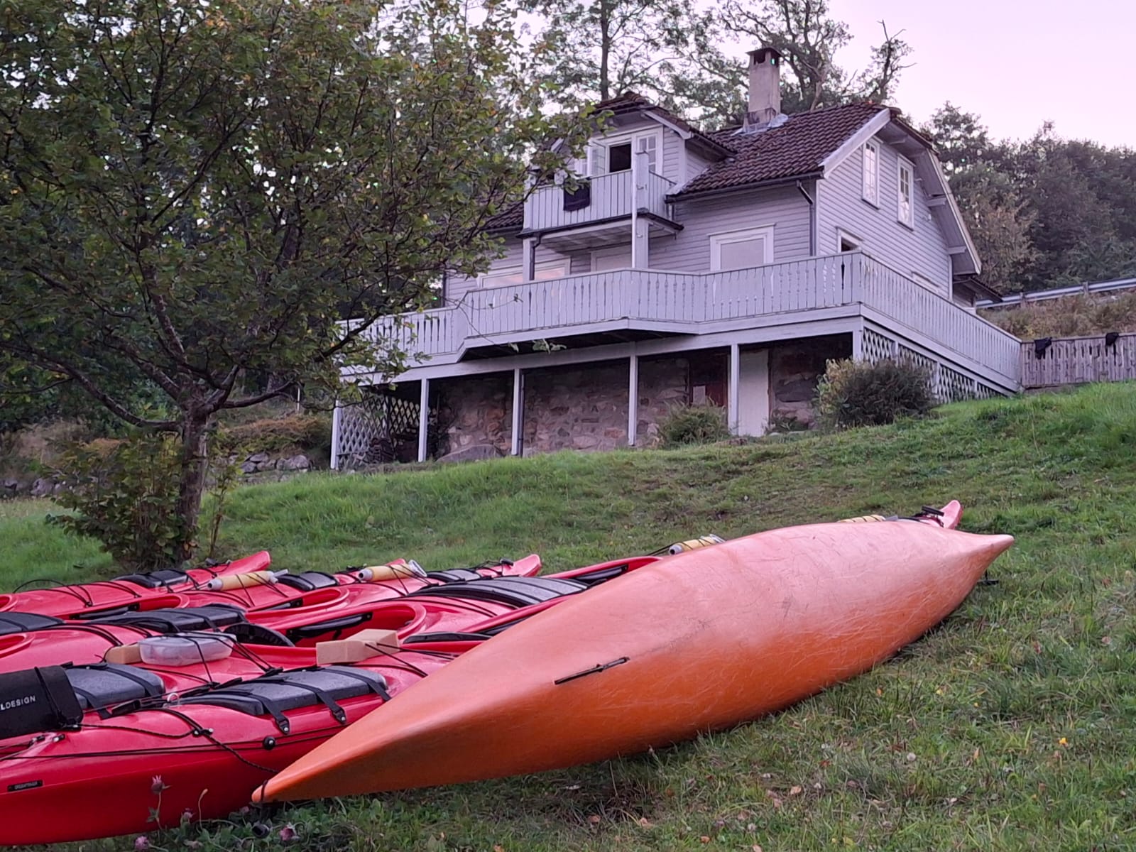 media_6QJLTF6E8YBEYLNE