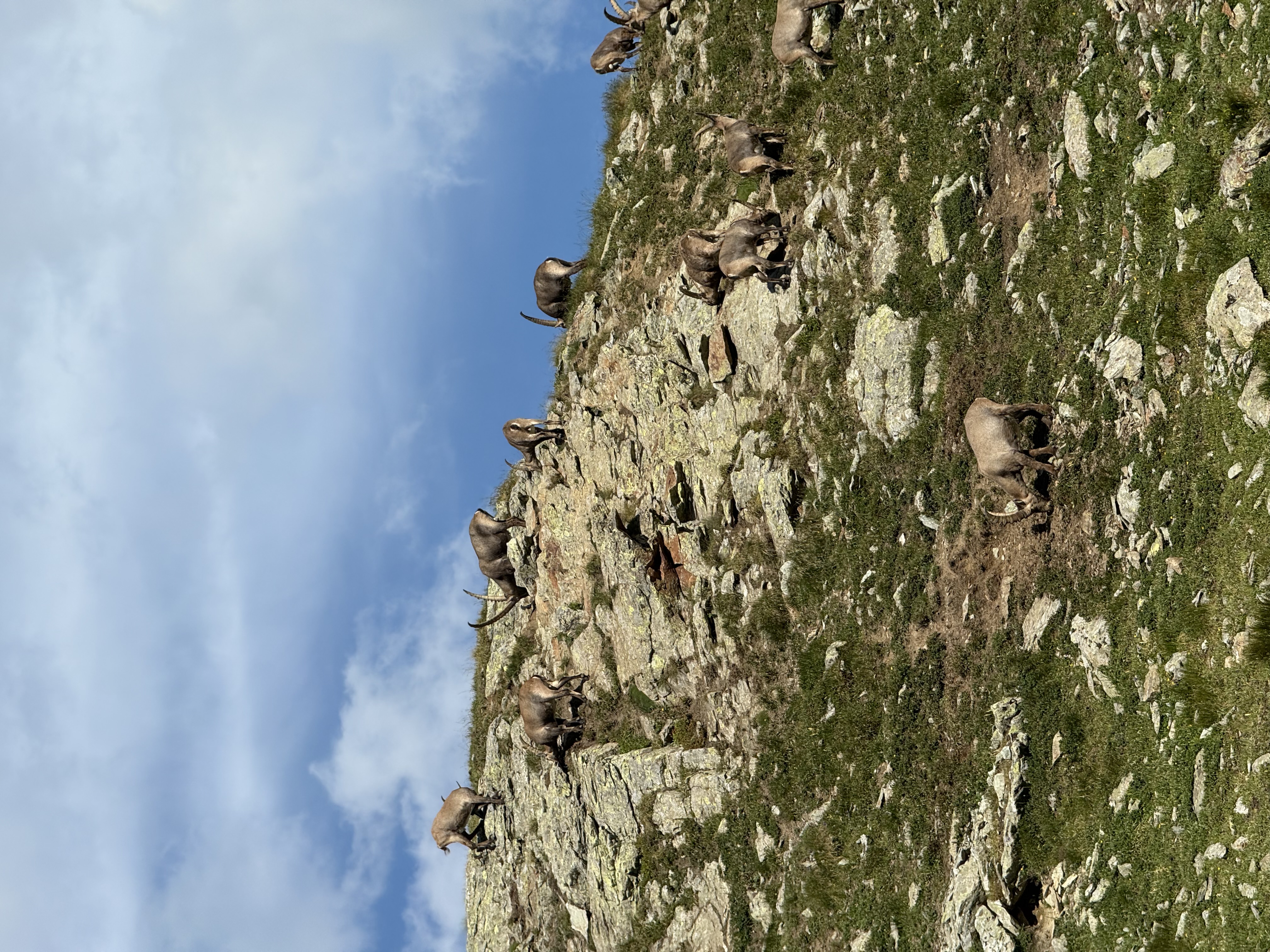 media_6HF7BED4R4FGBZ4Z