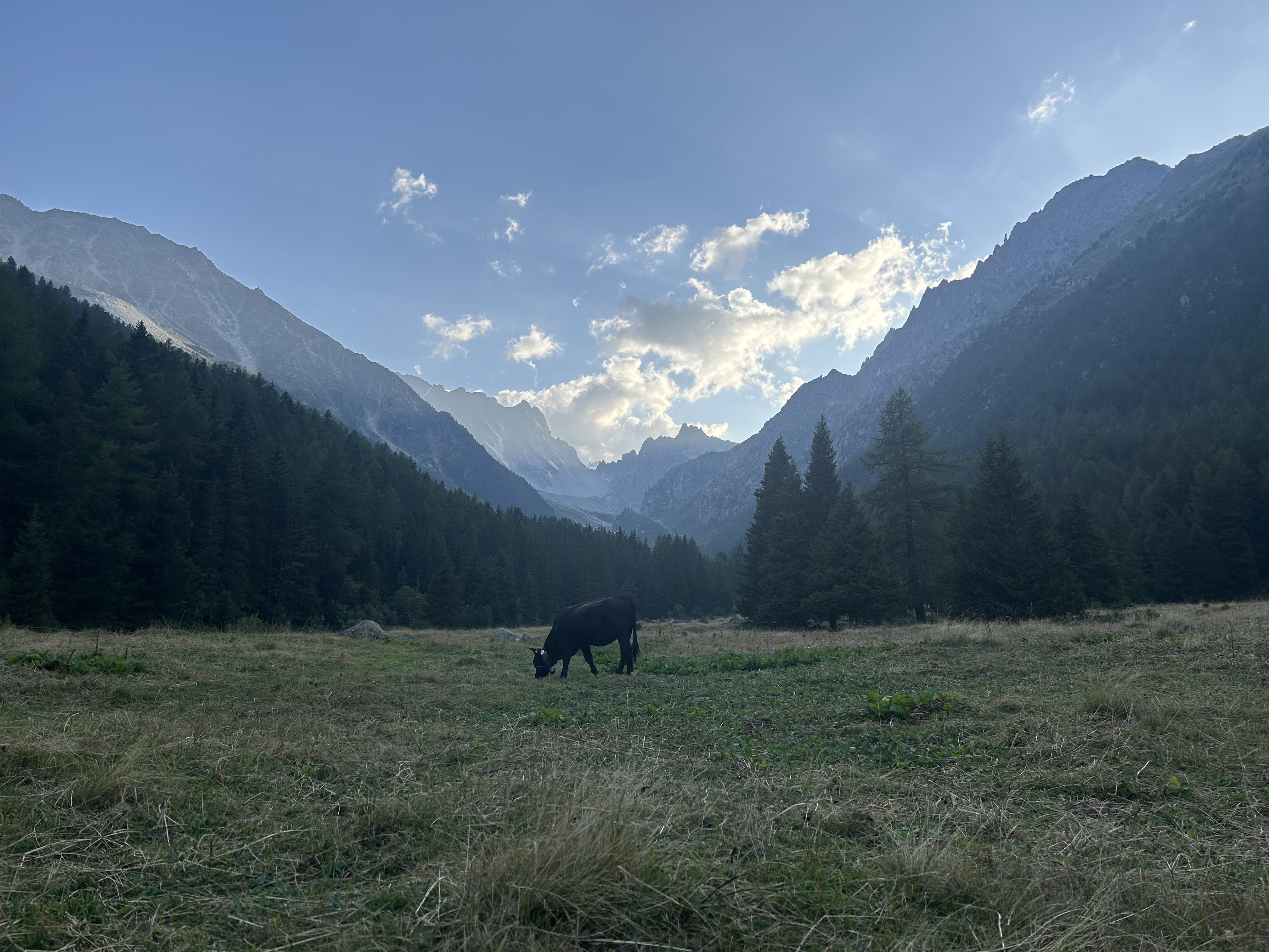 media_A2F7AURX7BSZWABP