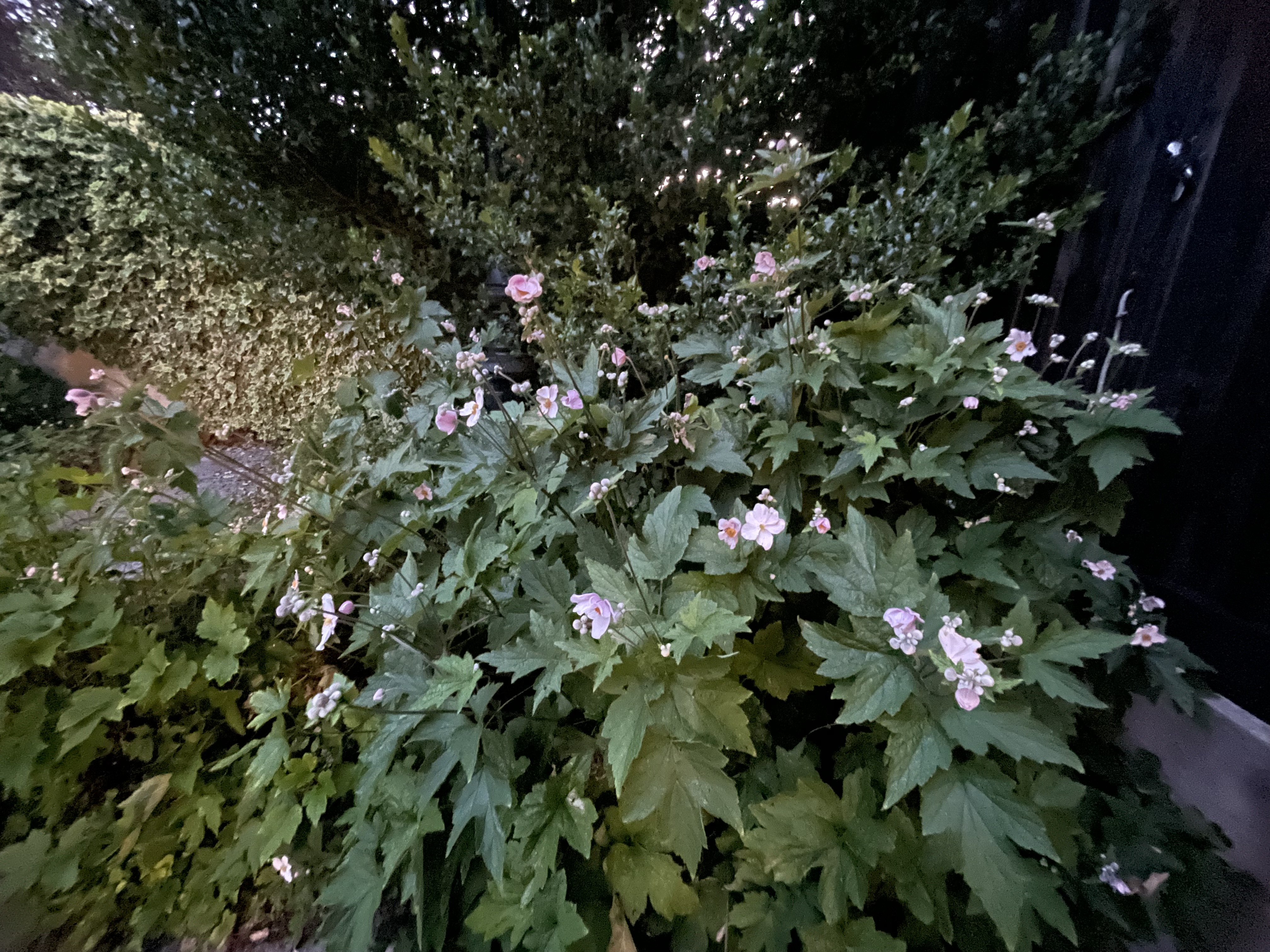 media_BSLAXVU9FRGMTFXV