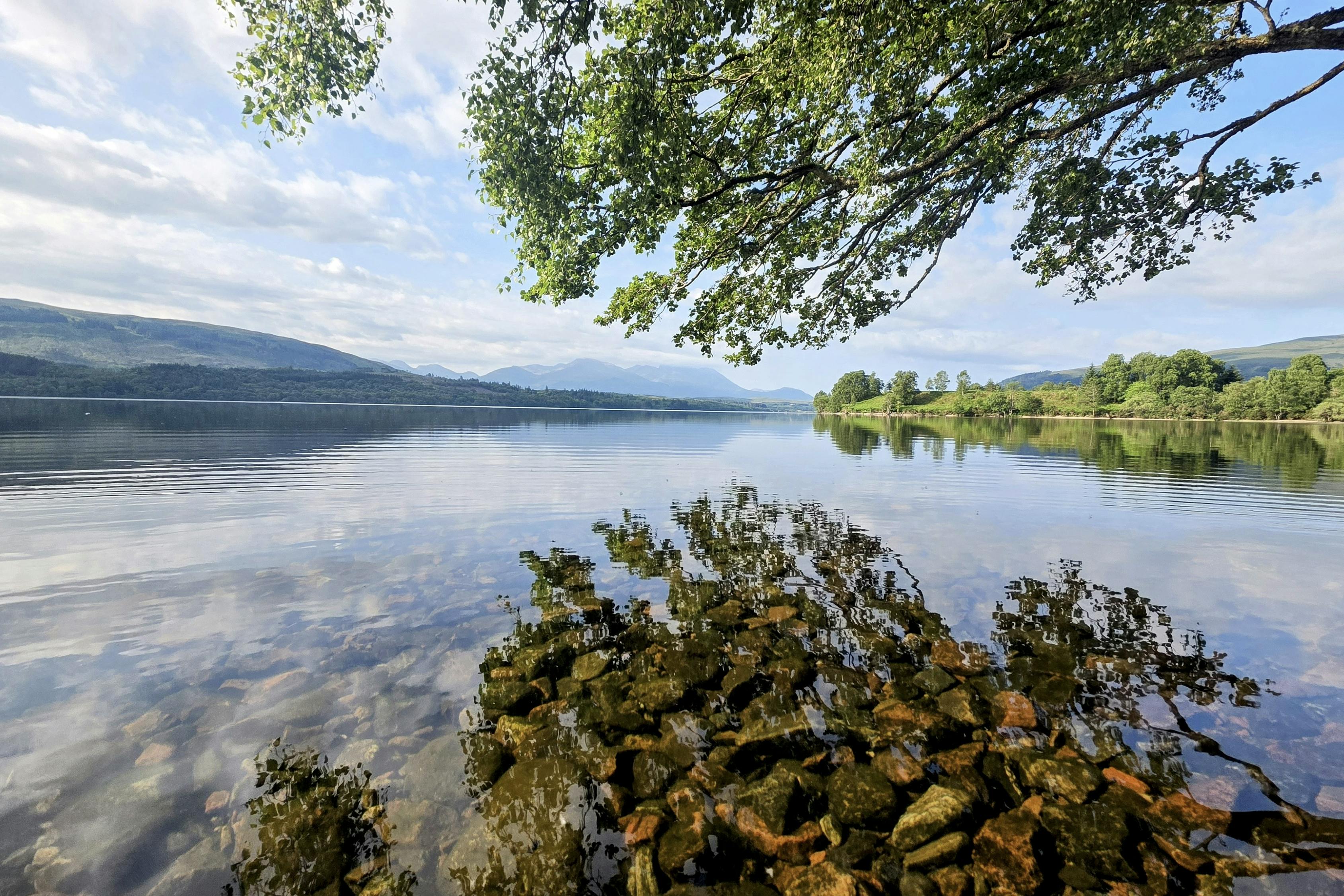 media_UYSTGY7RV4Z224LX