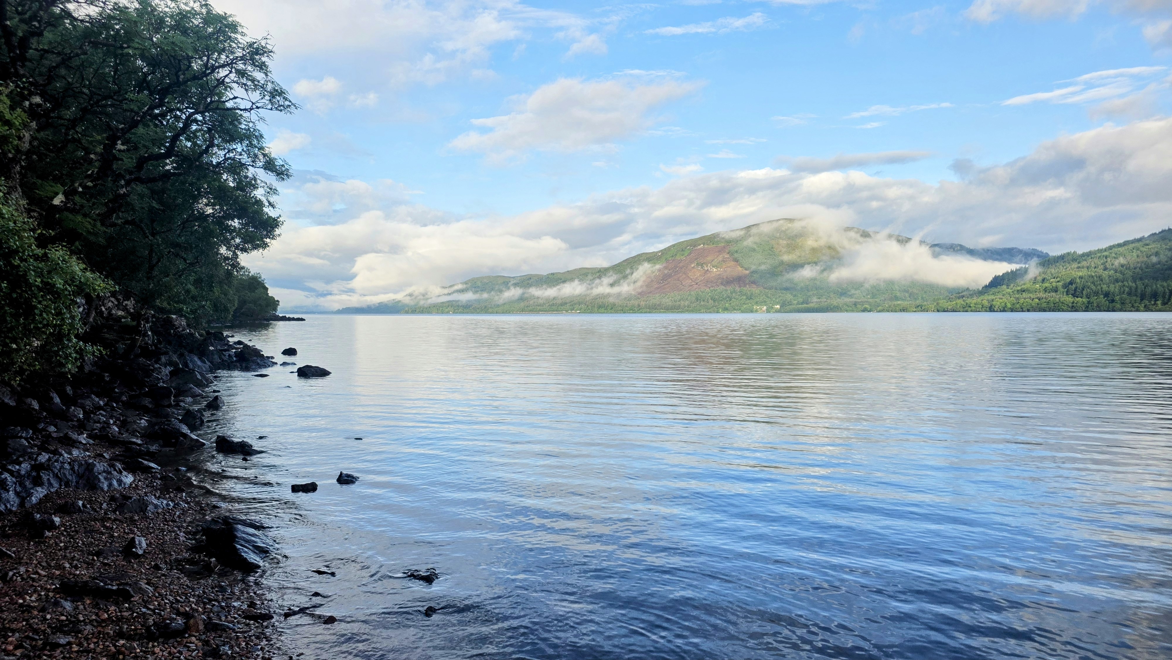 media_ZQKH8SHNX23BTYVD