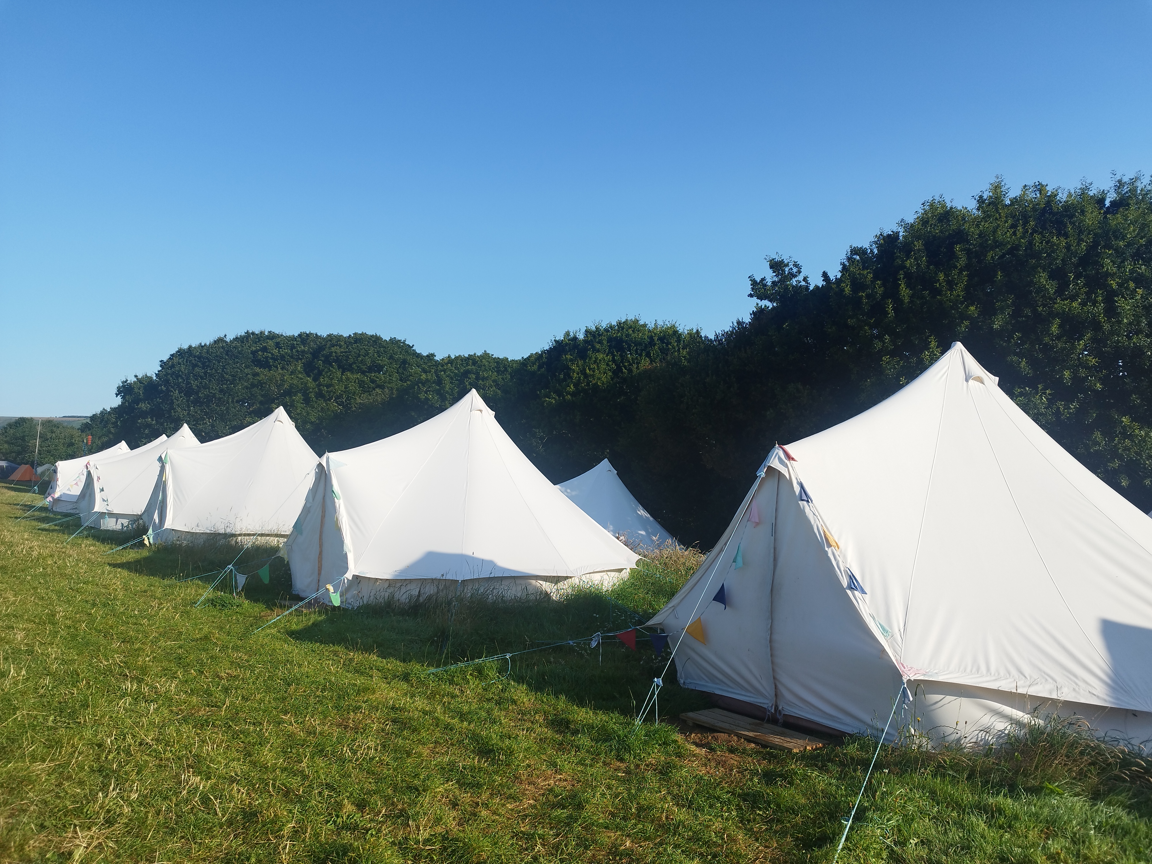 media_SYJFFE8C7JD4QYYN