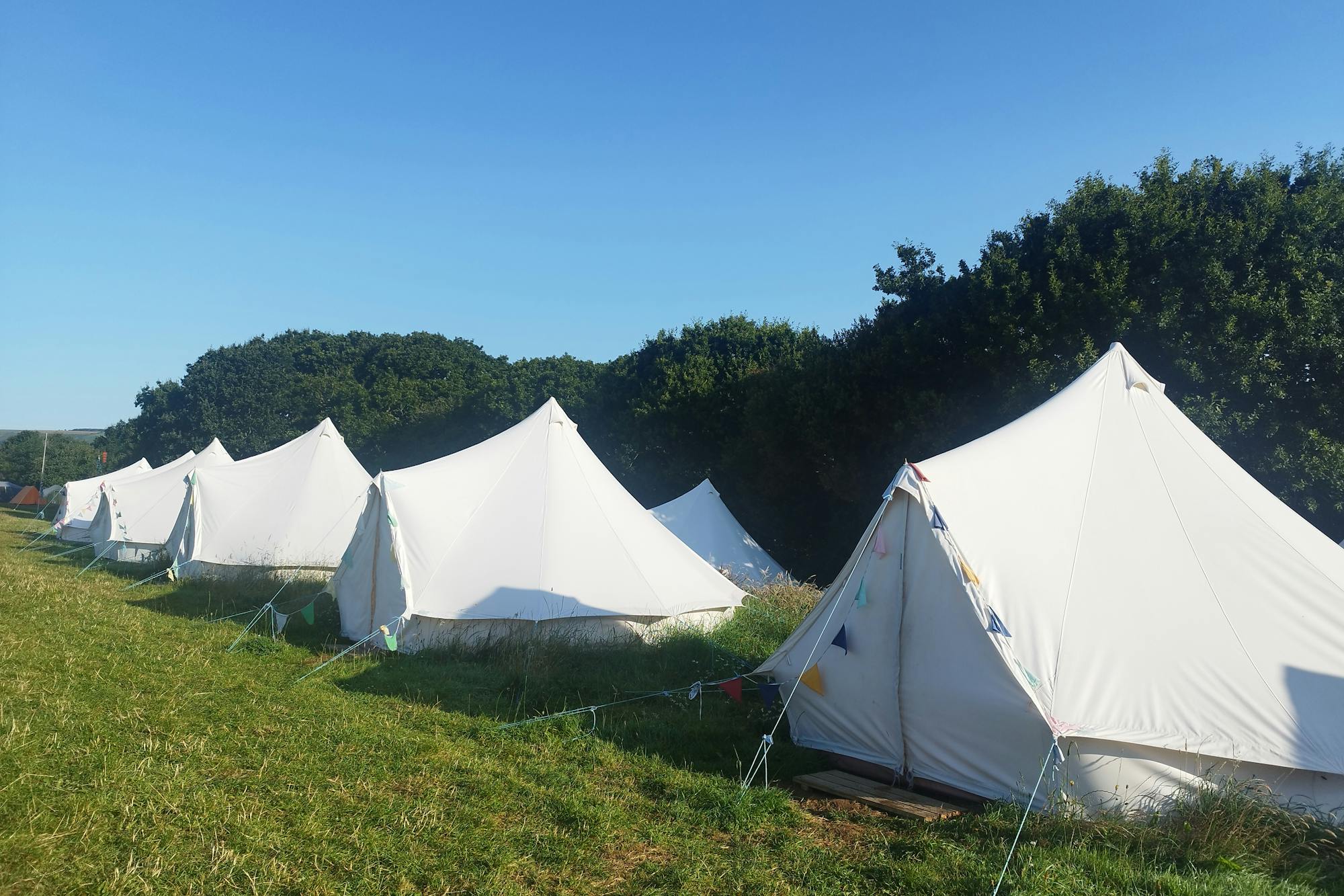 media_SYJFFE8C7JD4QYYN