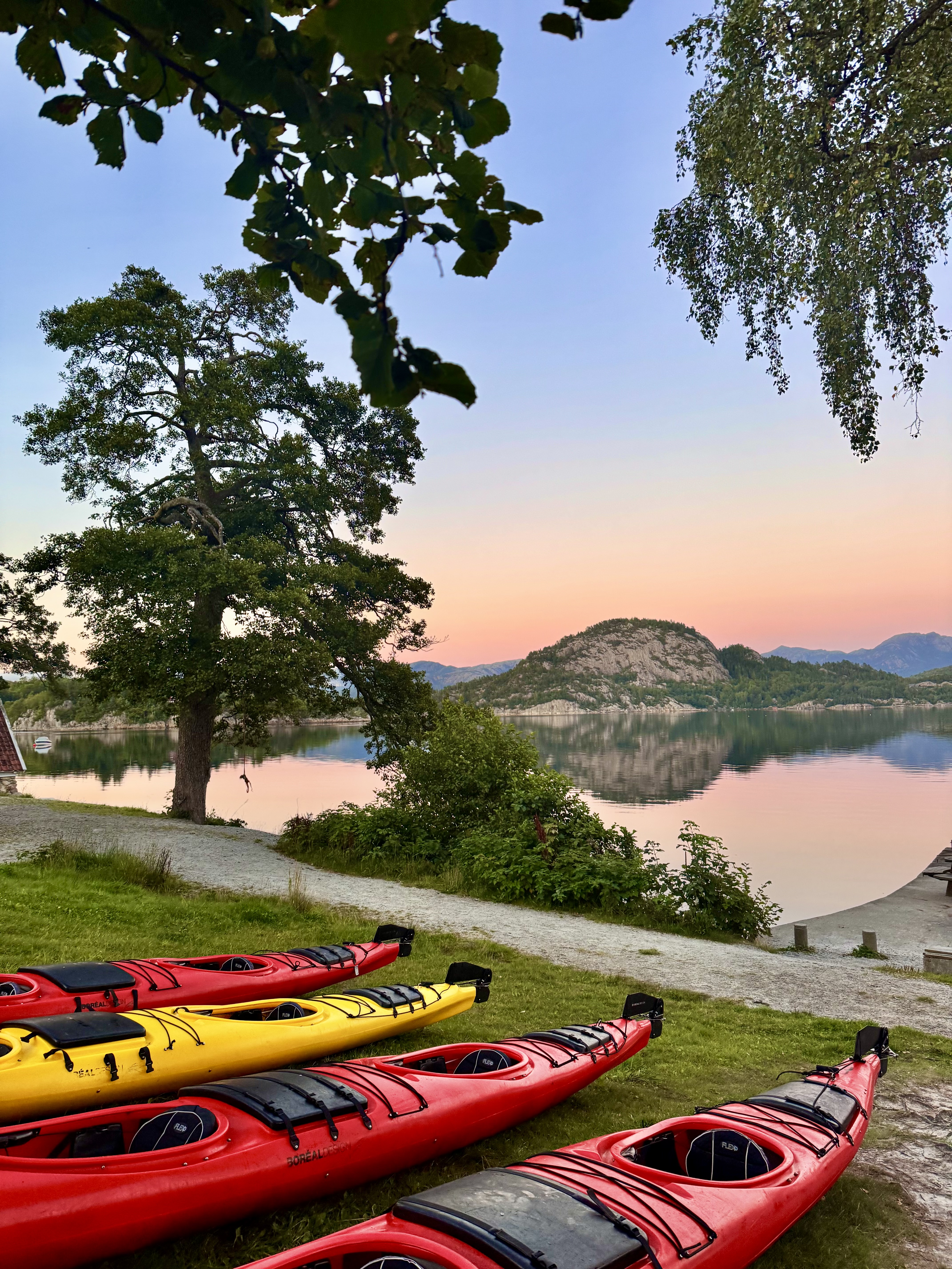 media_6CMHVN9YJWTUKH8V