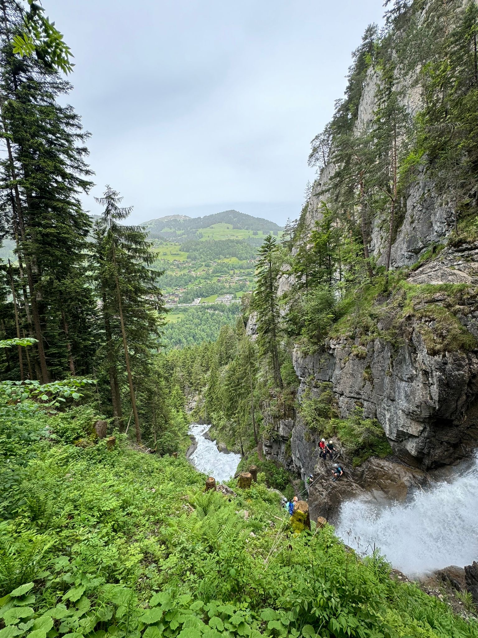 media_22ATW2VP8UPT6ZZR