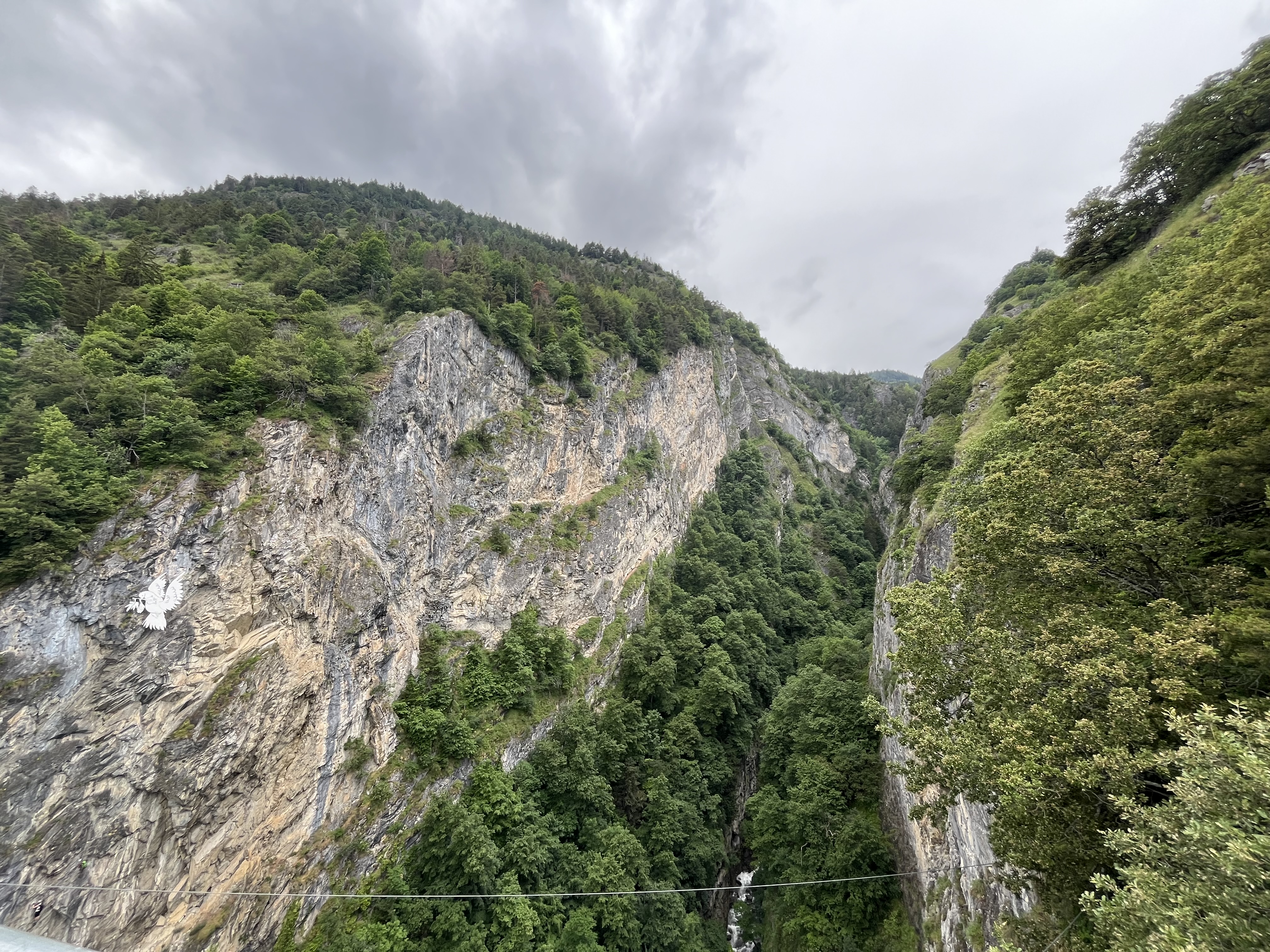 media_D6QHZXAAUZ8YHDAS