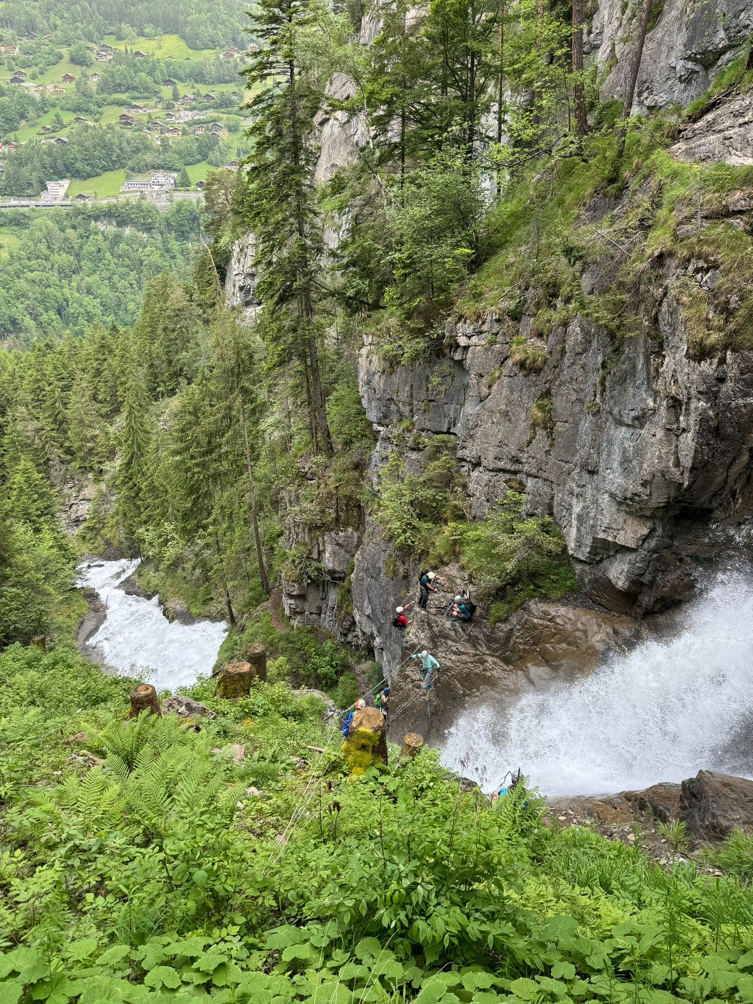 media_SRF5CVVKTNFDYRVB