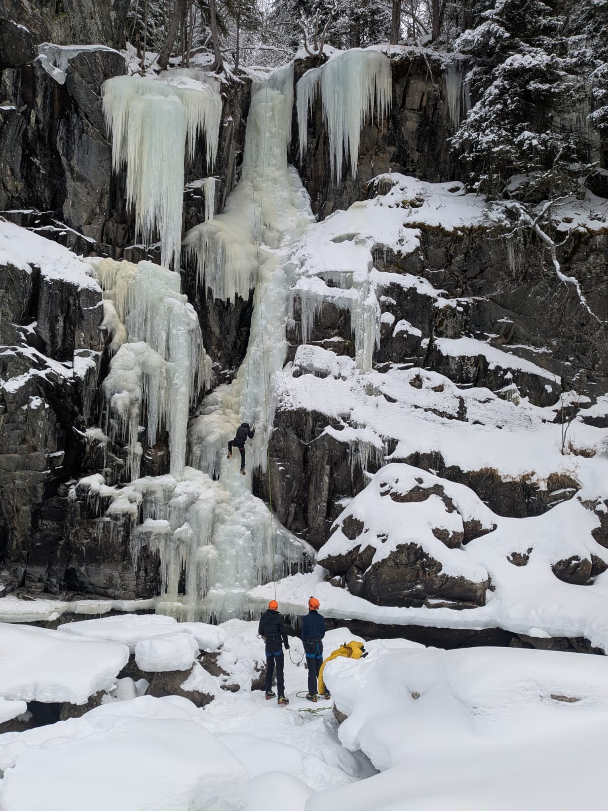 media_AW6HT8Z3H7XTC4AU