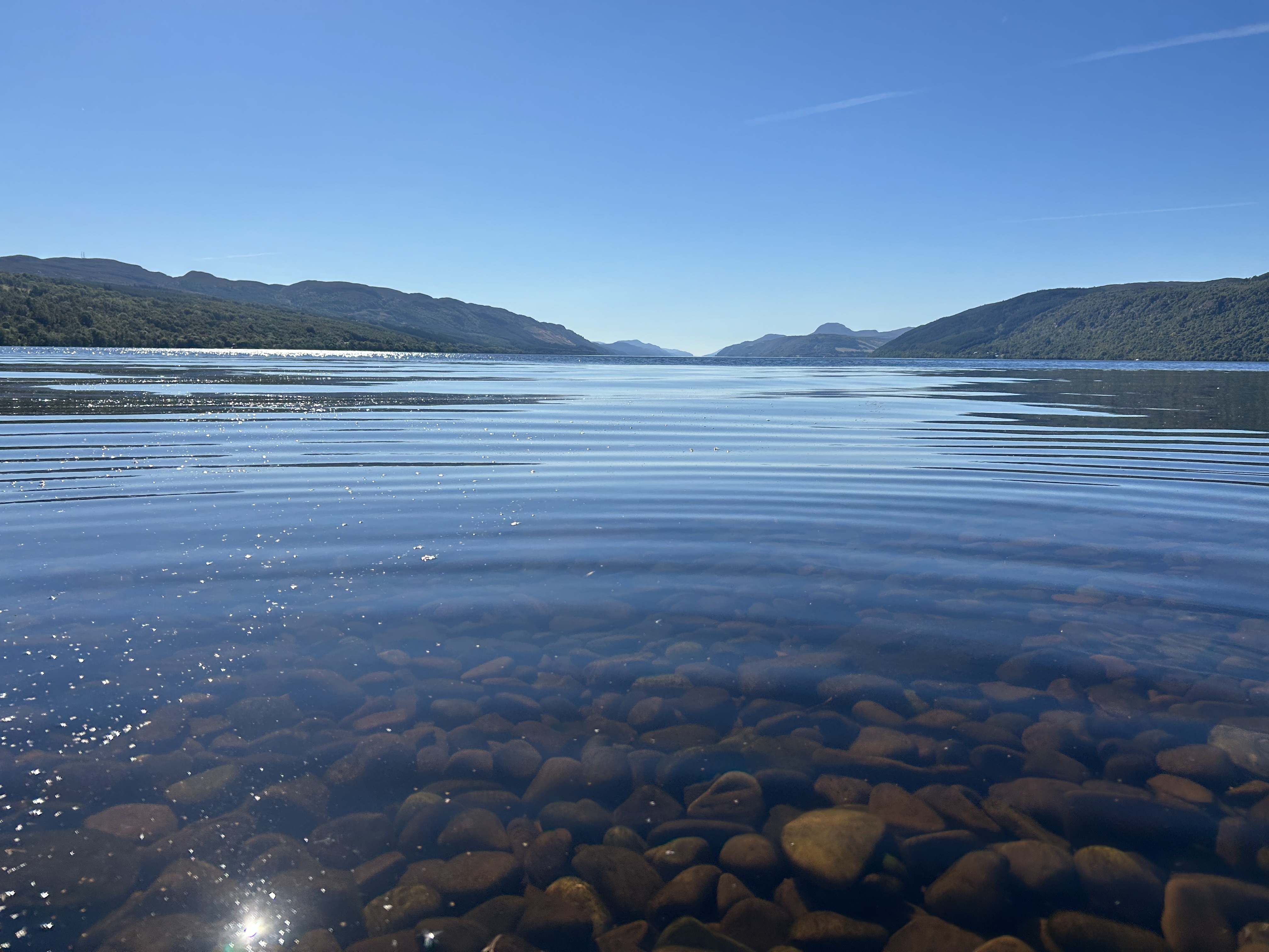 media_E3MDZCJ4N7Z44C5V