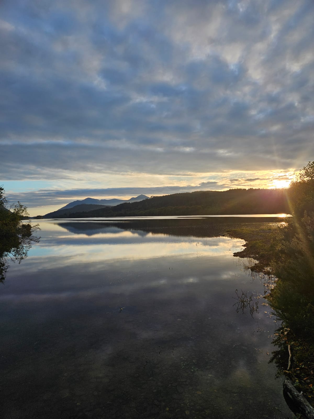 media_TL549TCKBNAYDJZ9