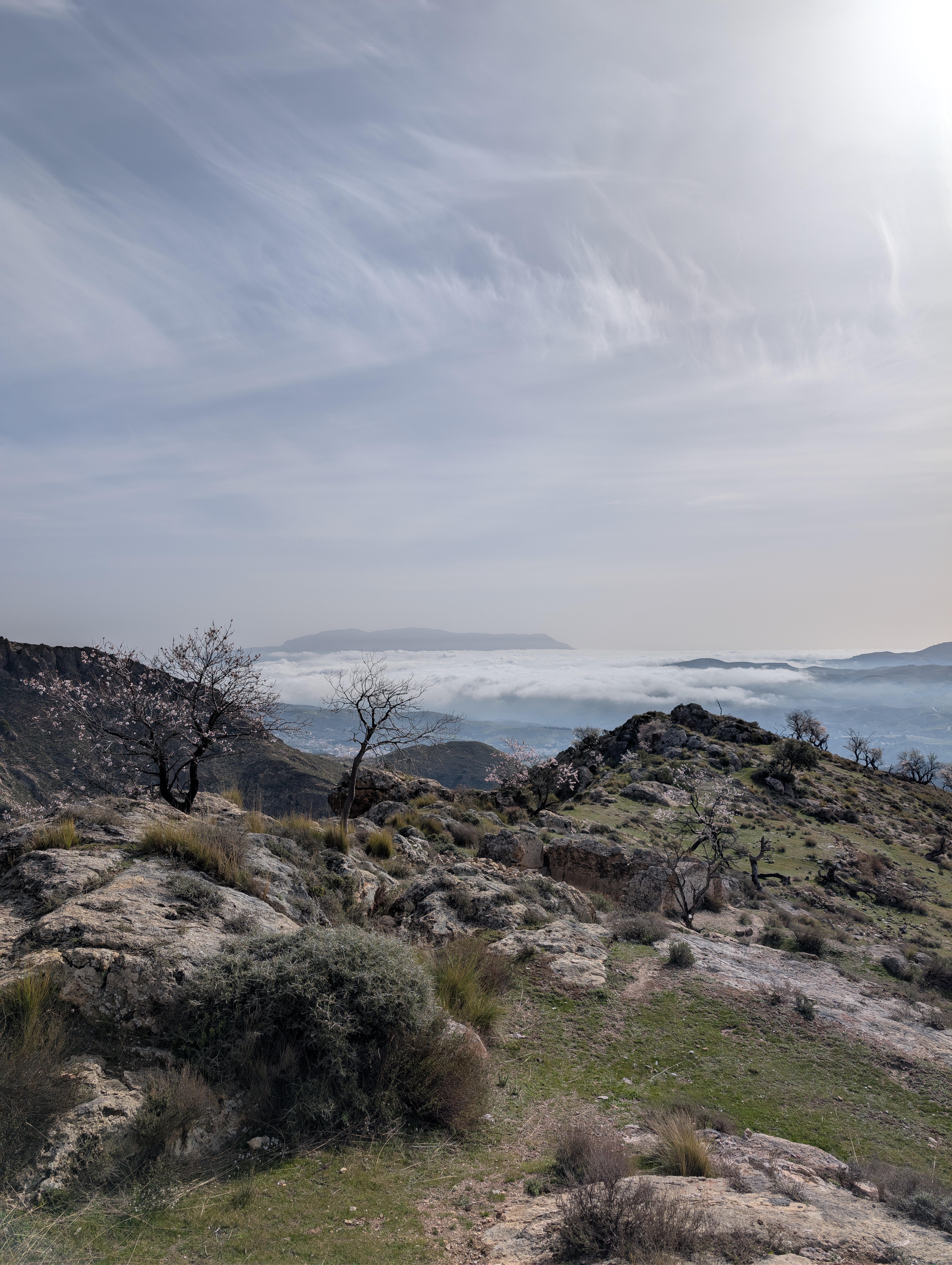 media_CPGKJSV9DZYSLWSJ