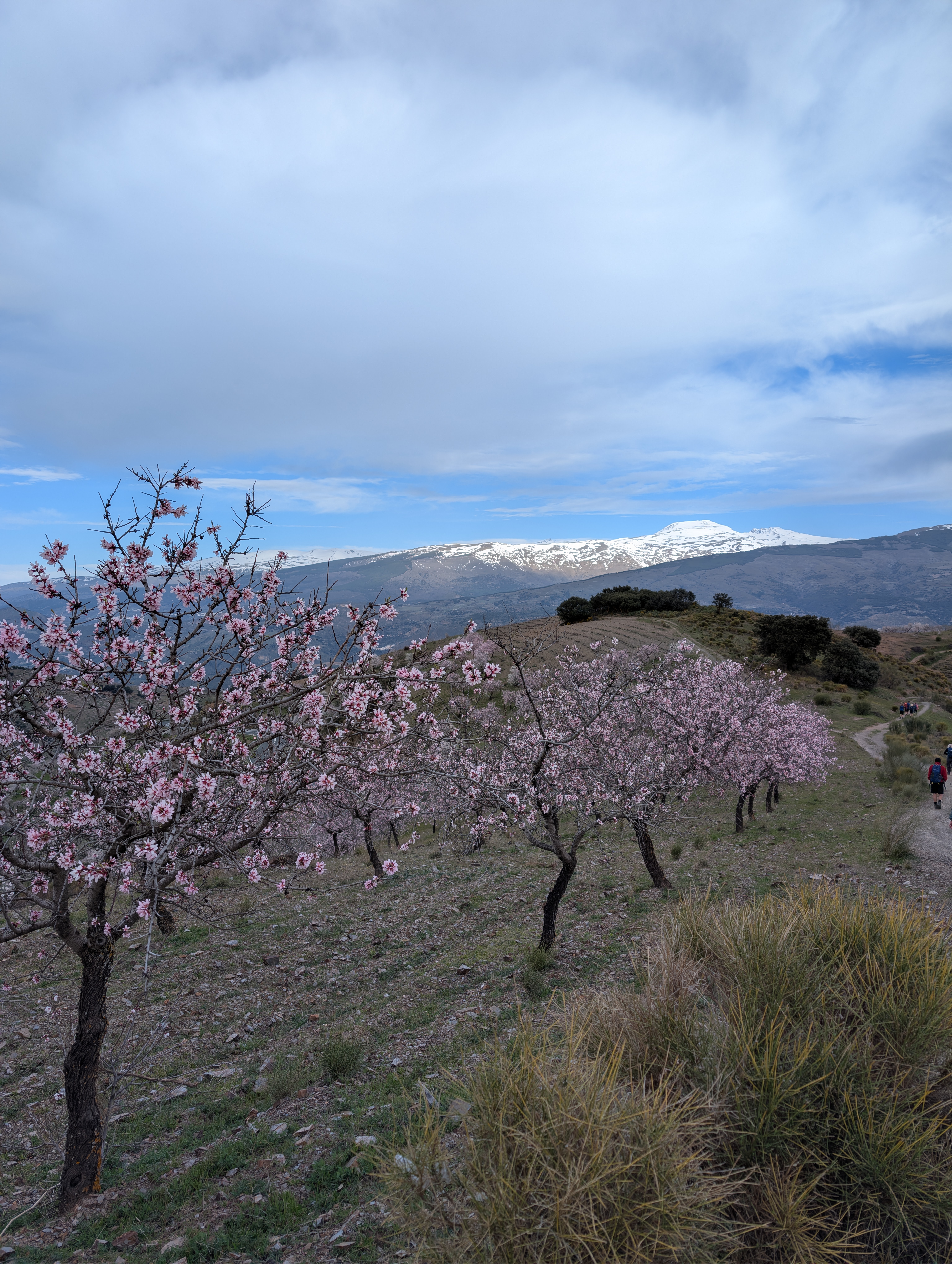 media_EAHB344UH7V4HHMQ