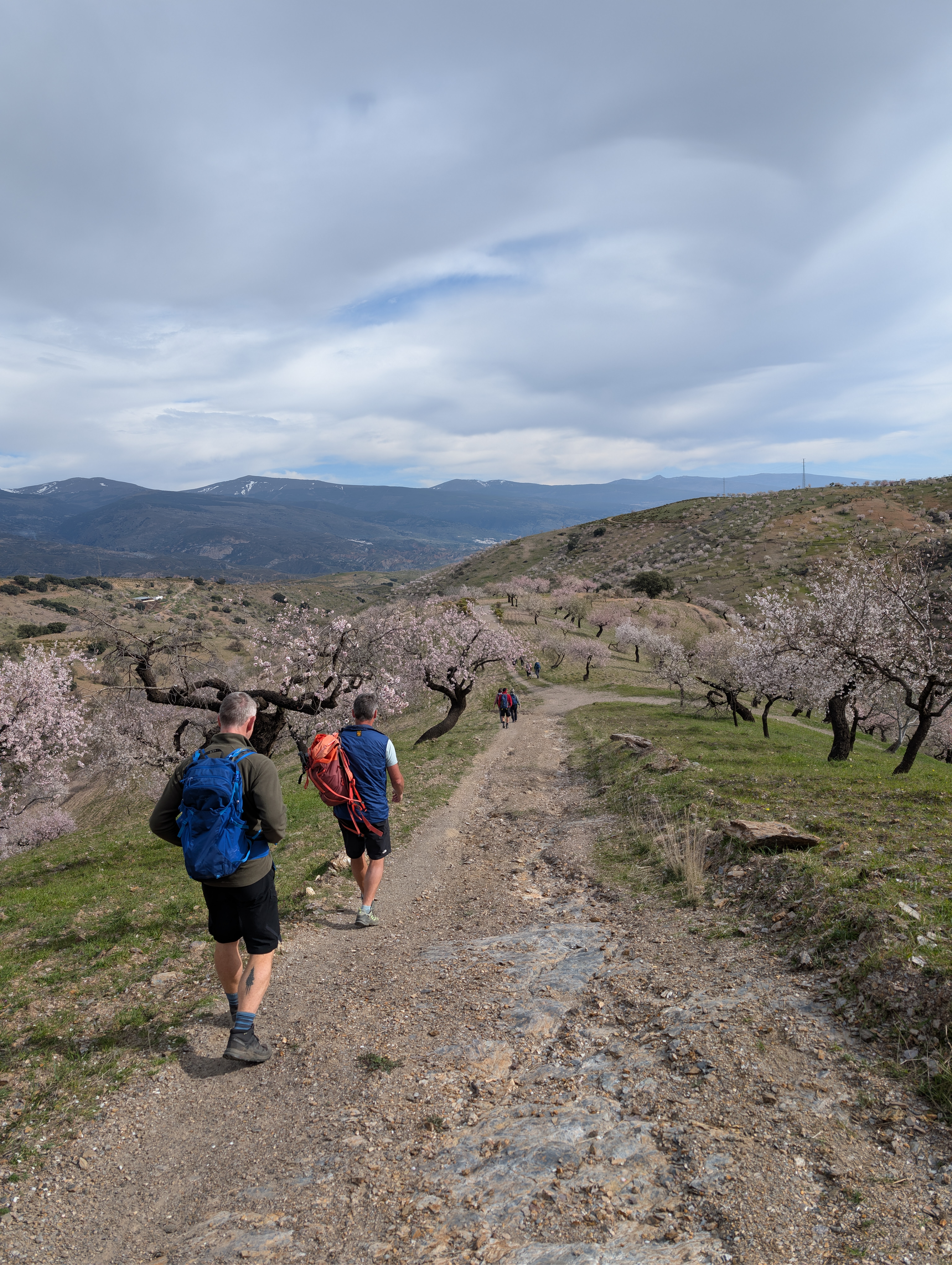 media_M5KJRVP7Y757X9B4