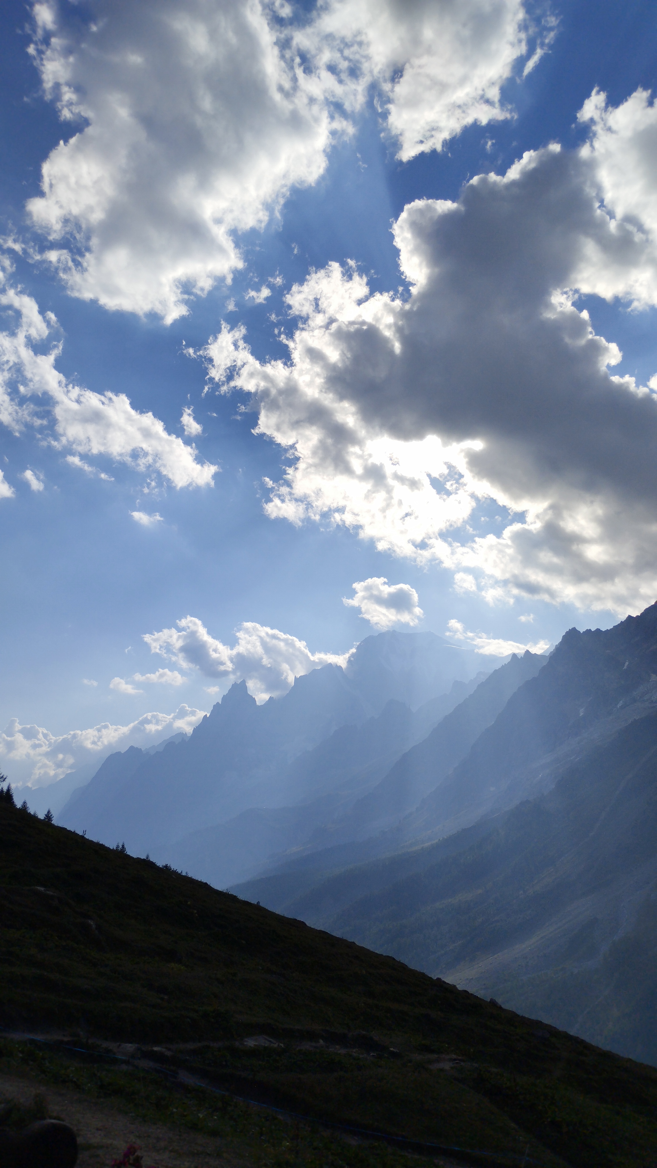 media_M9QGNPP5DJXTUGQ9