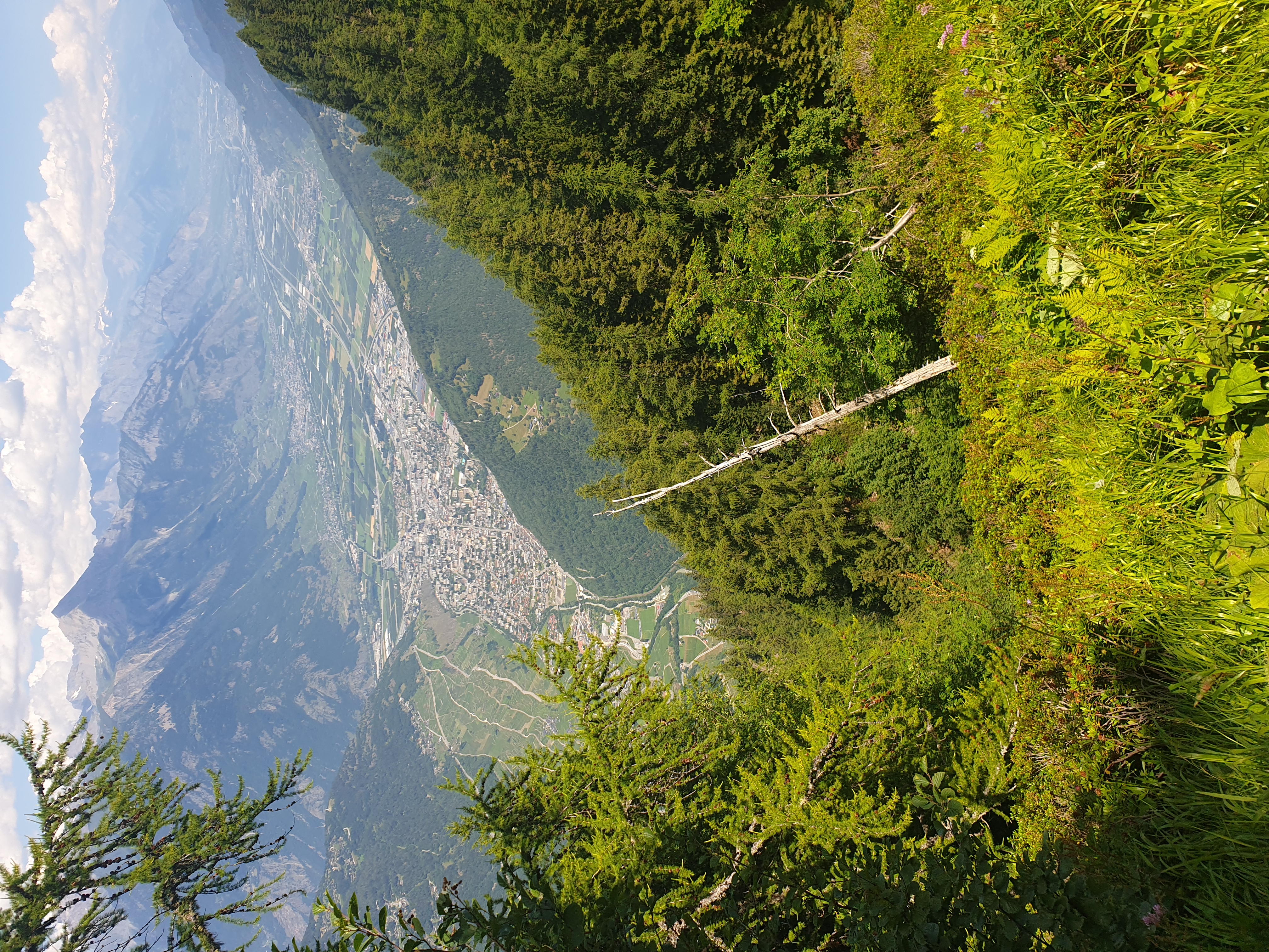 media_T64HV6N8NLS3JD5V