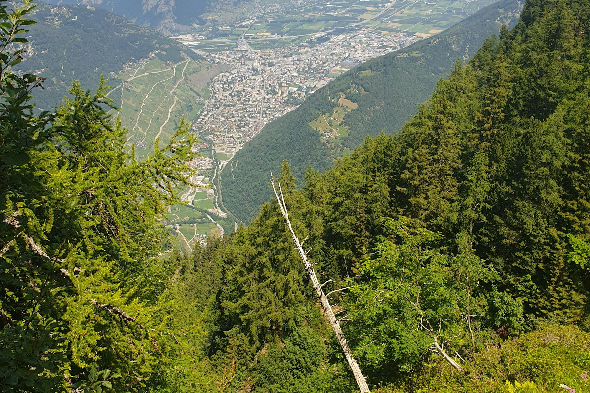 media_T64HV6N8NLS3JD5V