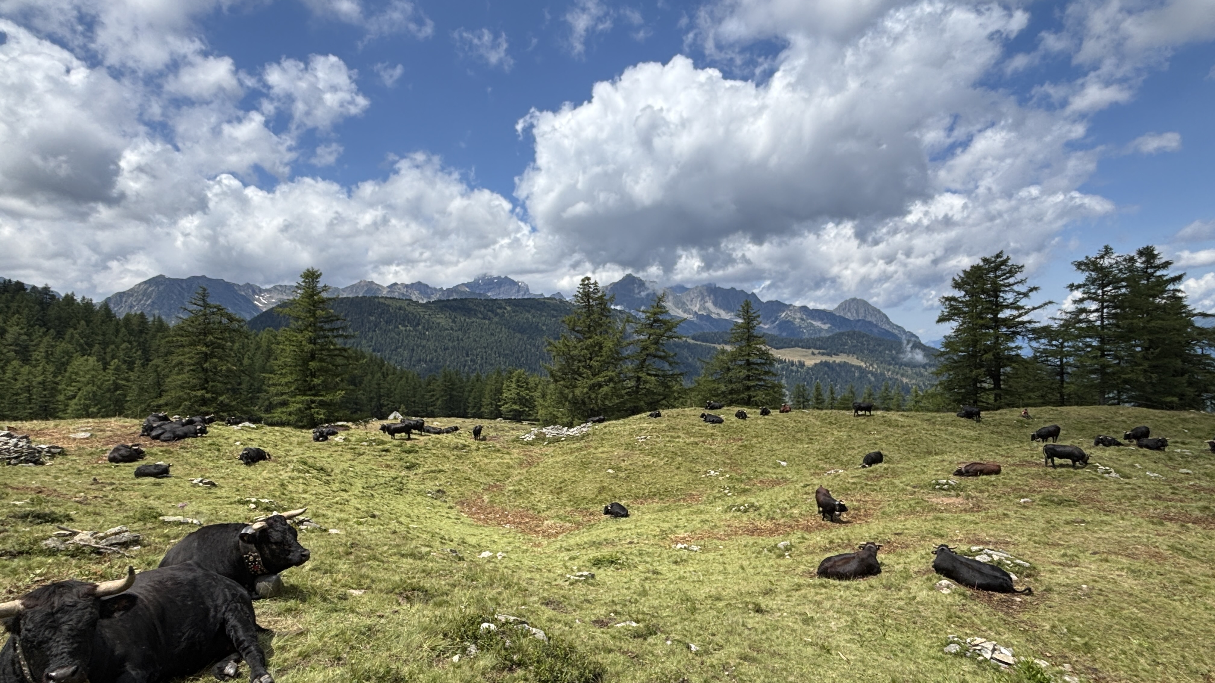 media_J7UZG77PPMZDSK52