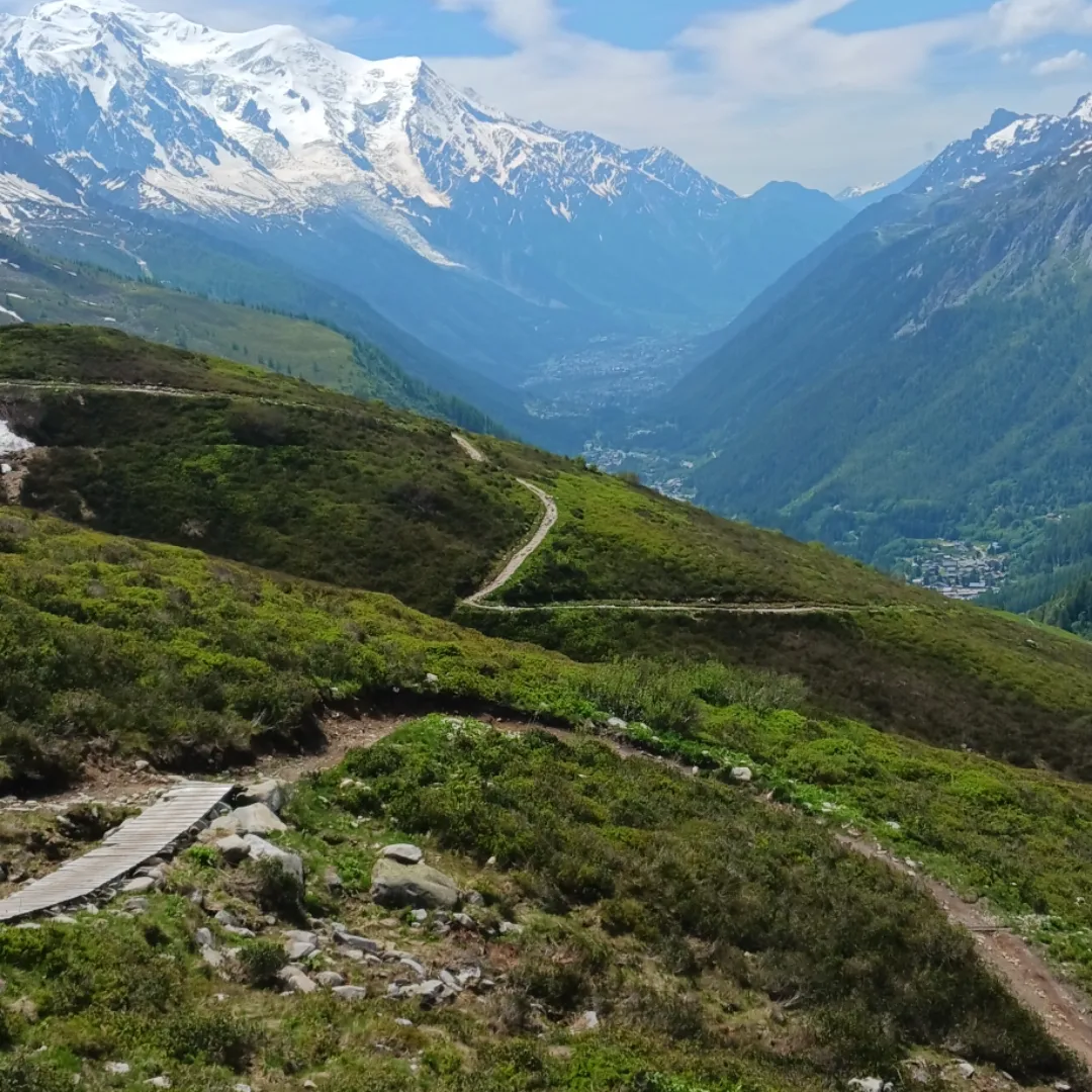 media_V77FW8KFZSYLQPUJ