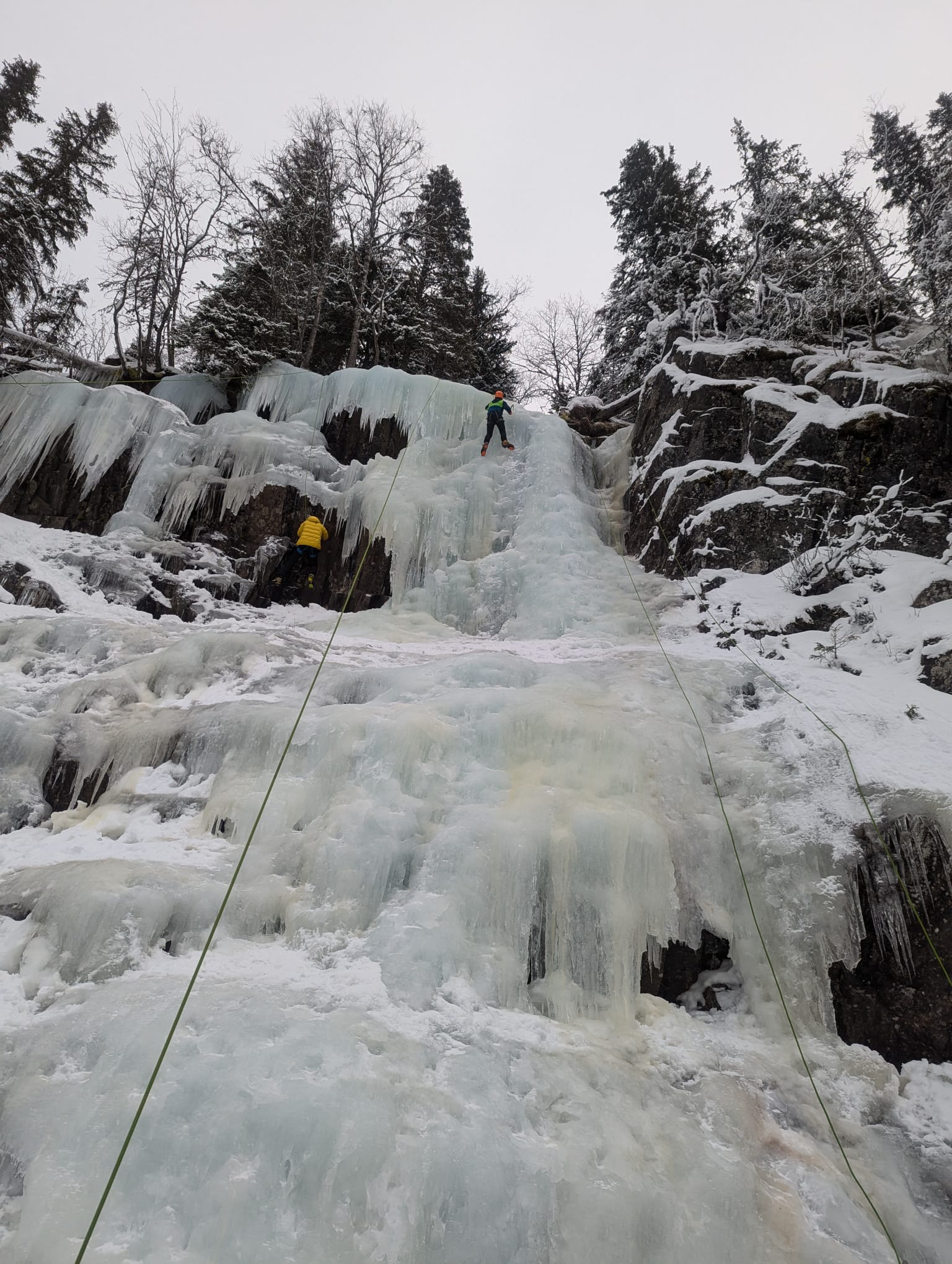 media_BVYVSF2DT36QCFL2