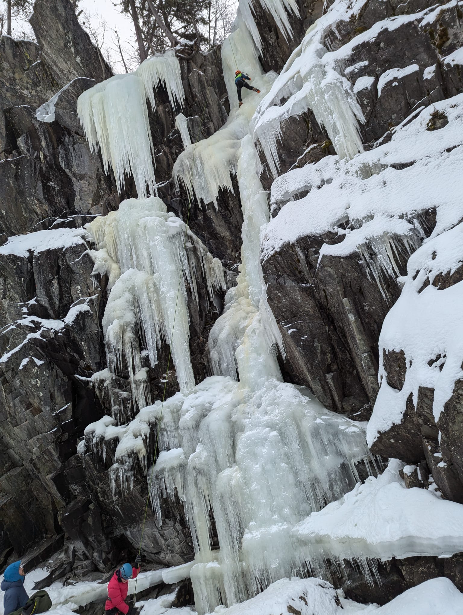 media_X4NYXGJVMRNX6Q98