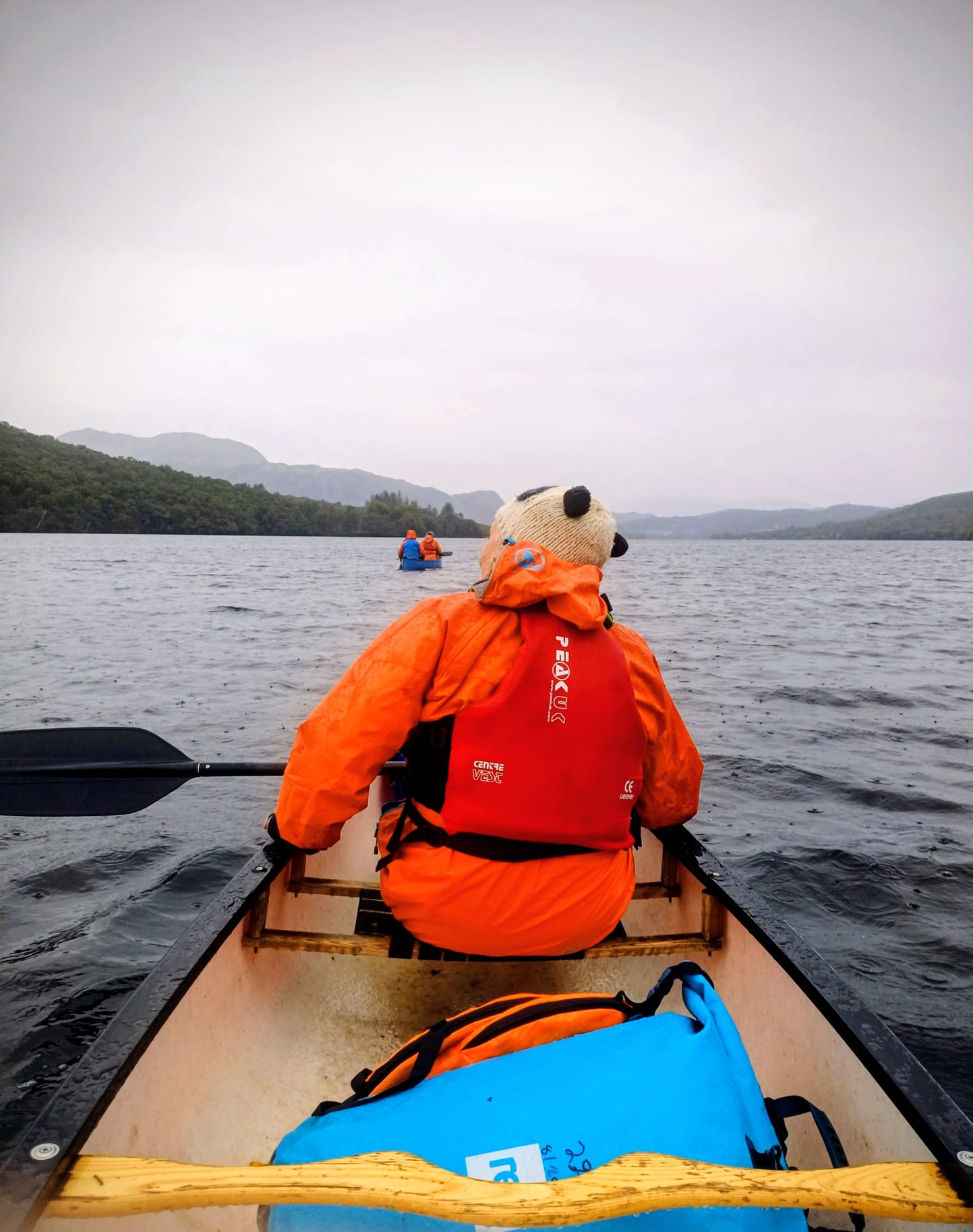 media_N9P92CEUCEDTGMZG