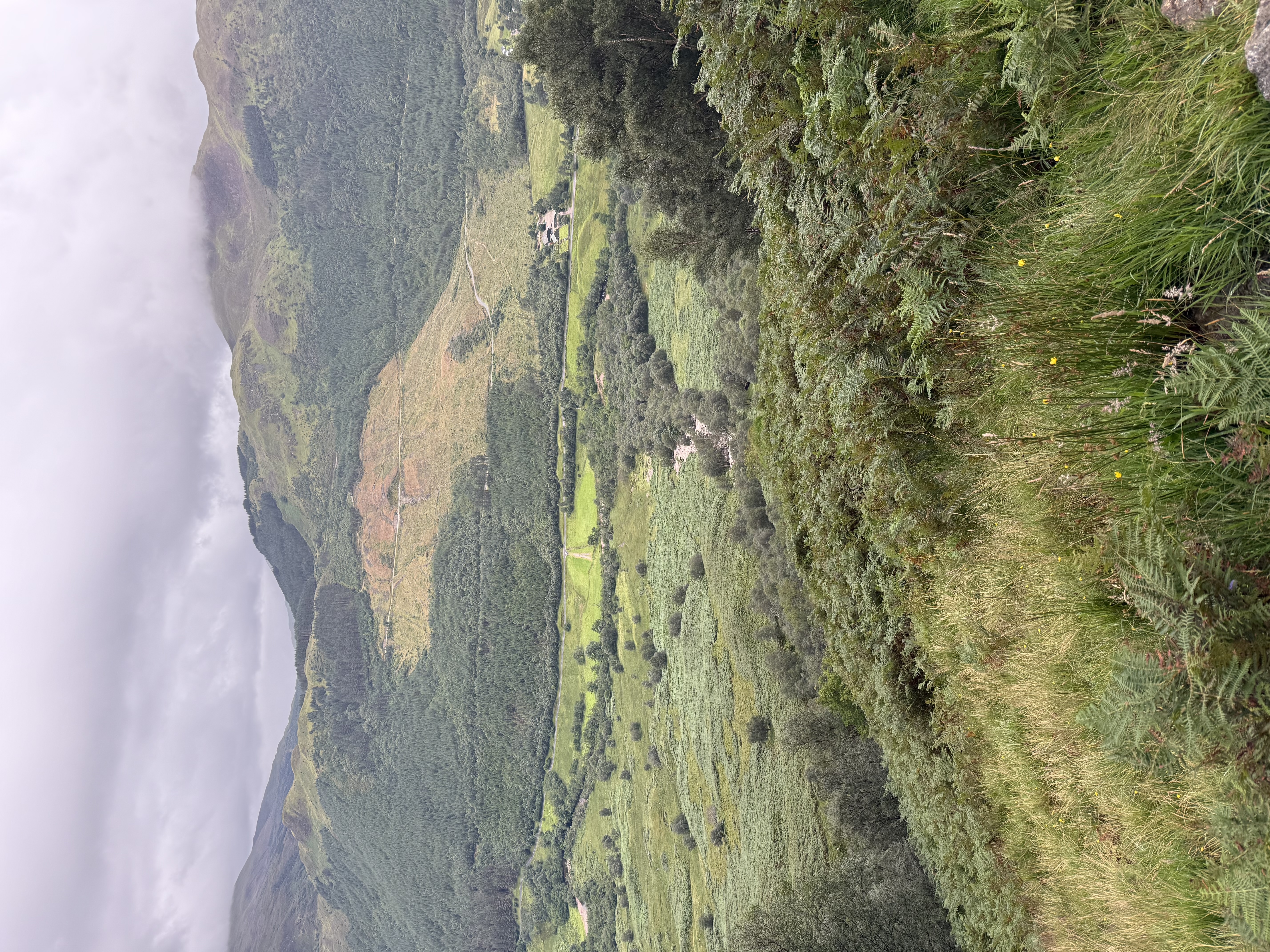 media_FAHDYWB4UCF442W3