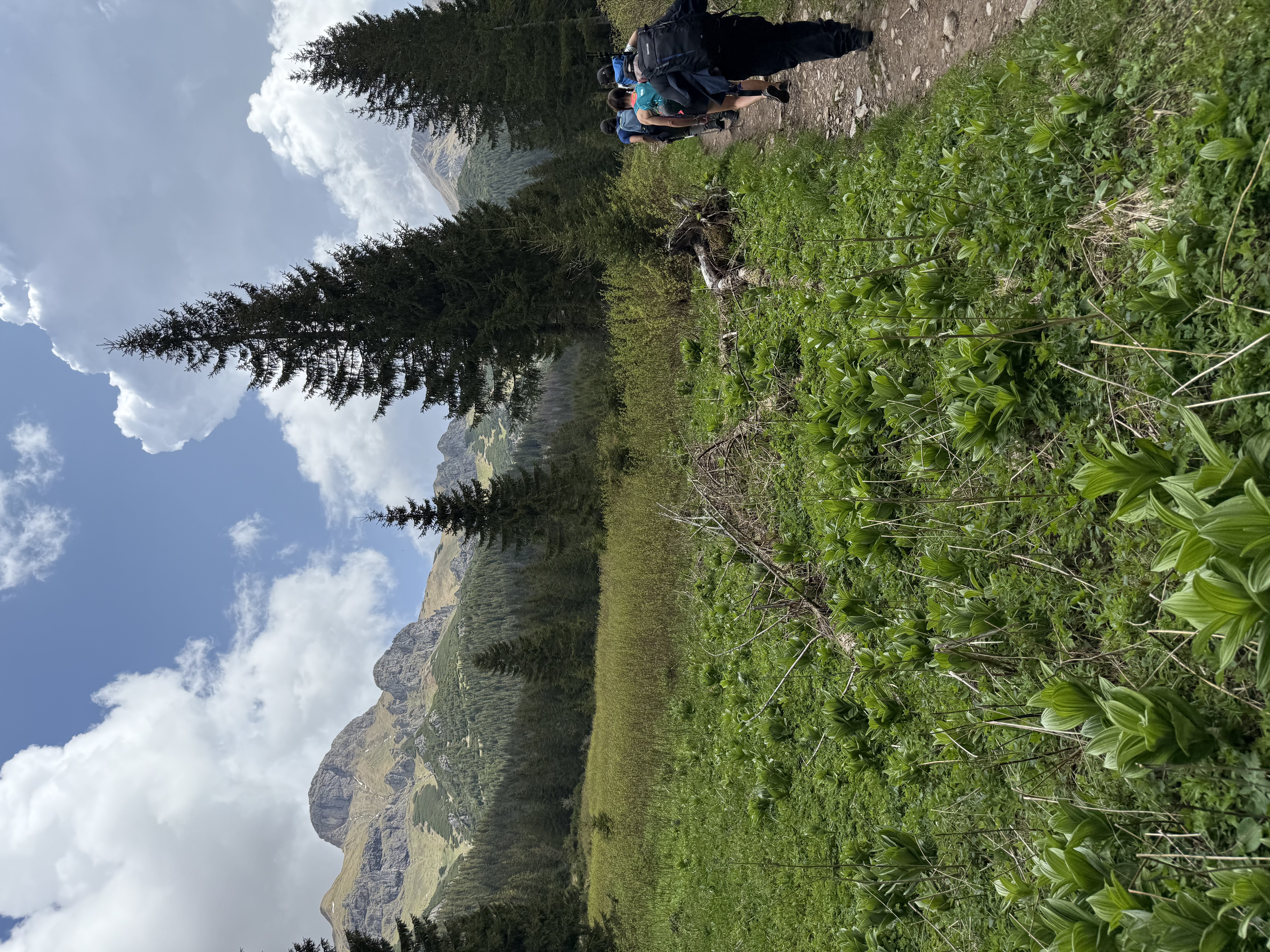 media_2ARY4QEPX2TFLLUU