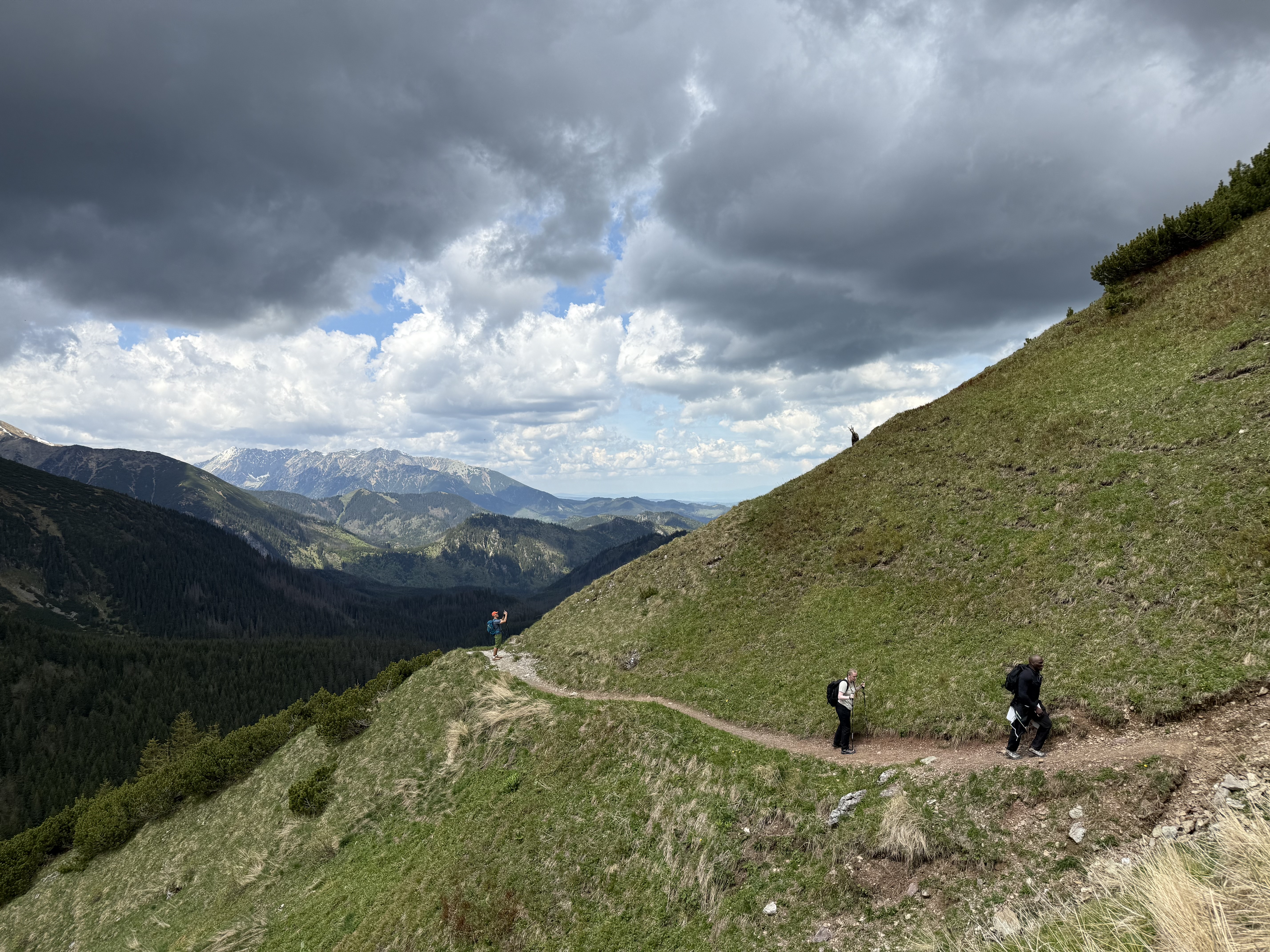 media_NGSRMRDR3JADZ2VV